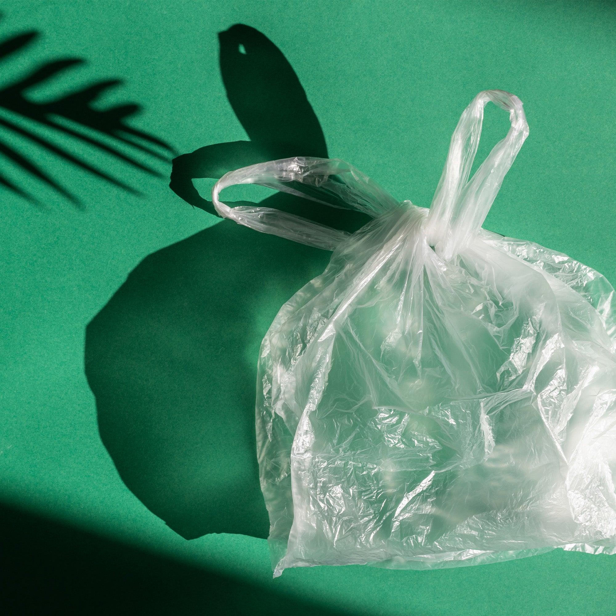 Plastic Bags Tagged "vtccarrierbags"