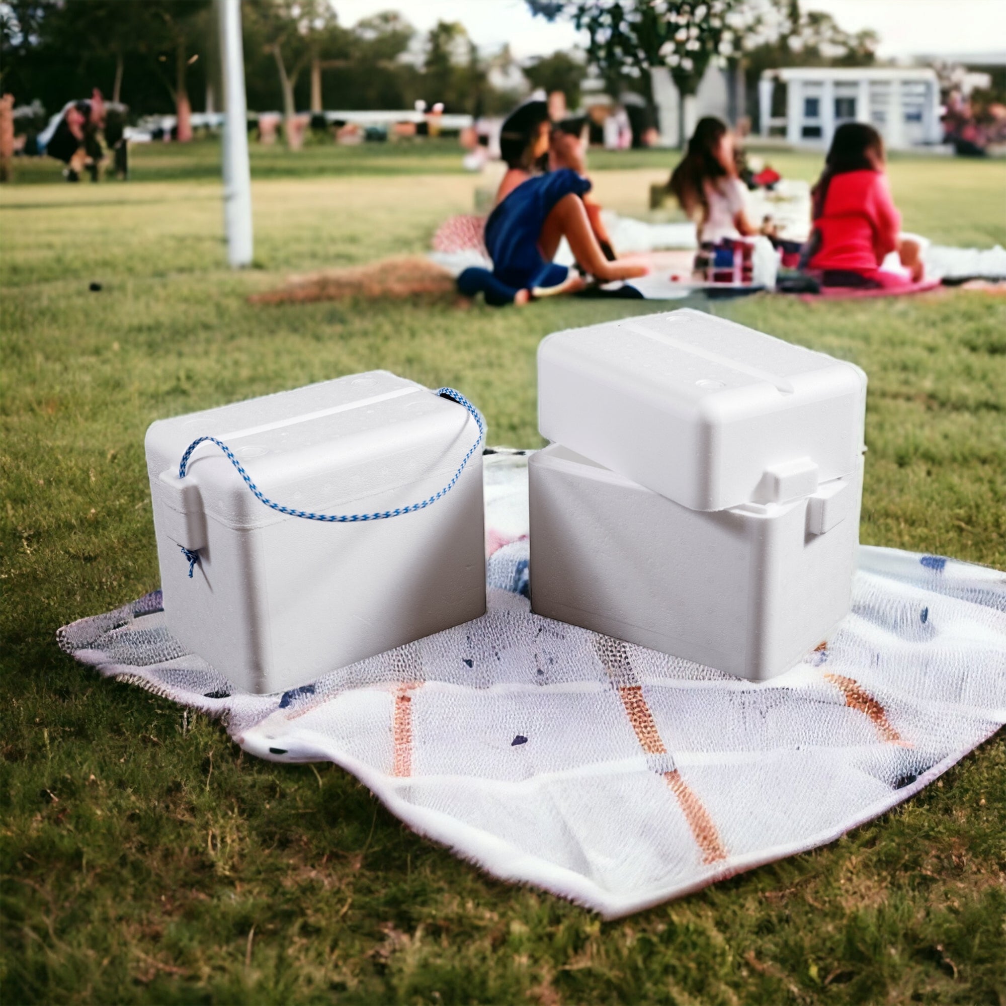 Polystyrene Cooler Box