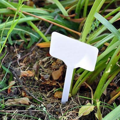 Plant Marker 16cm PVC Plastic