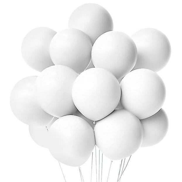 Party Latex Pastel Balloon 2.8g 10.5inch 10pack
