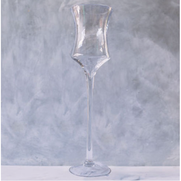 Glass Clear Vase Anemone 40x13cm
