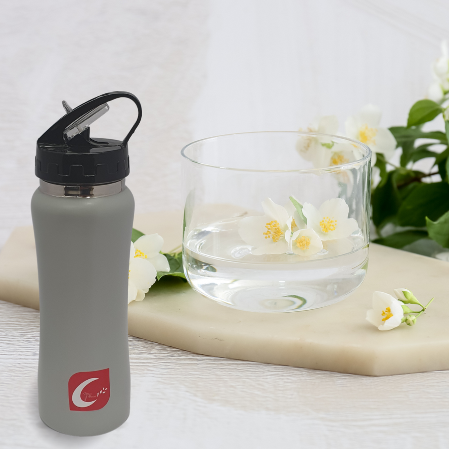 Sports Flask Water Bottle with Straw 450ml SGN2437