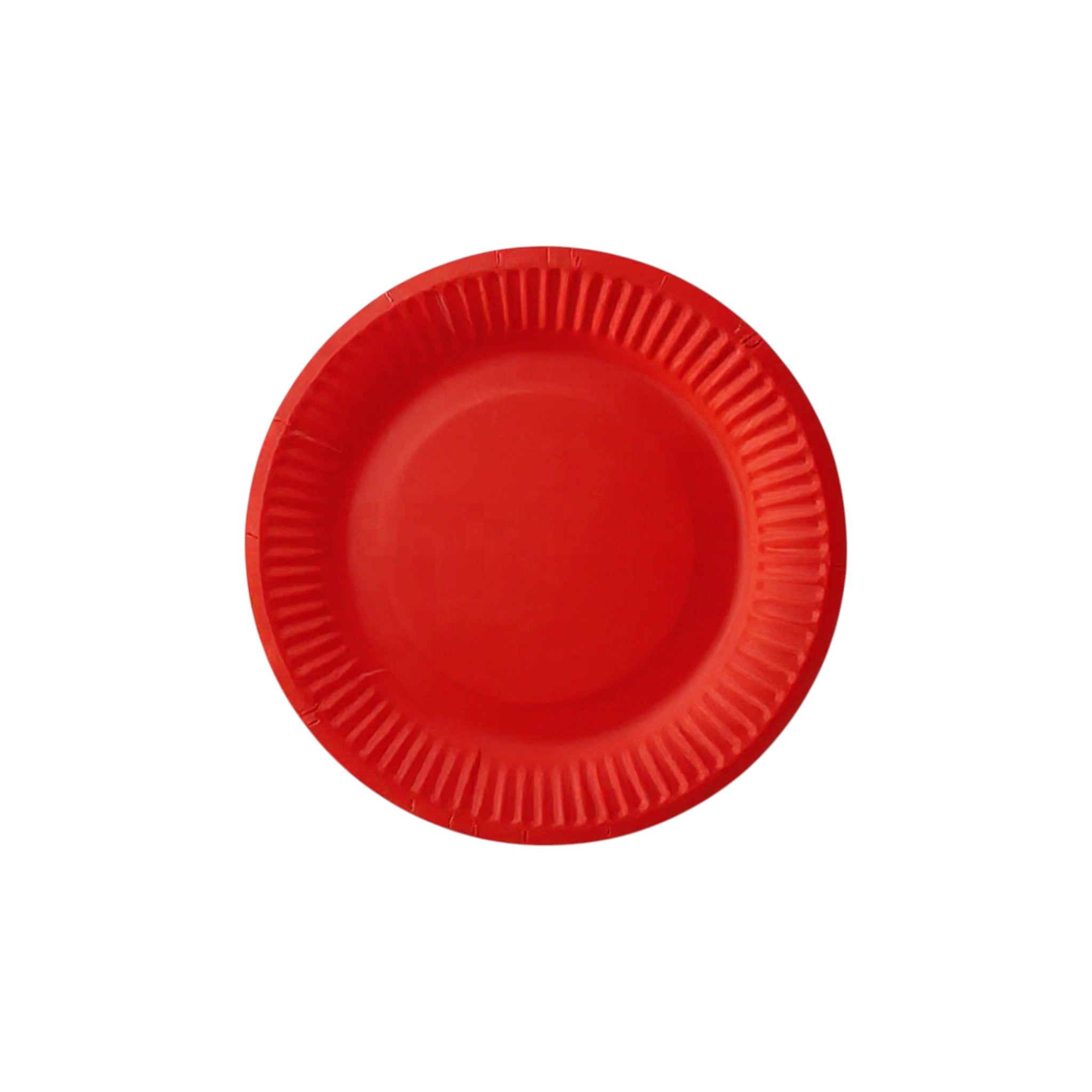 Party Paper Plates 9inch 10pack