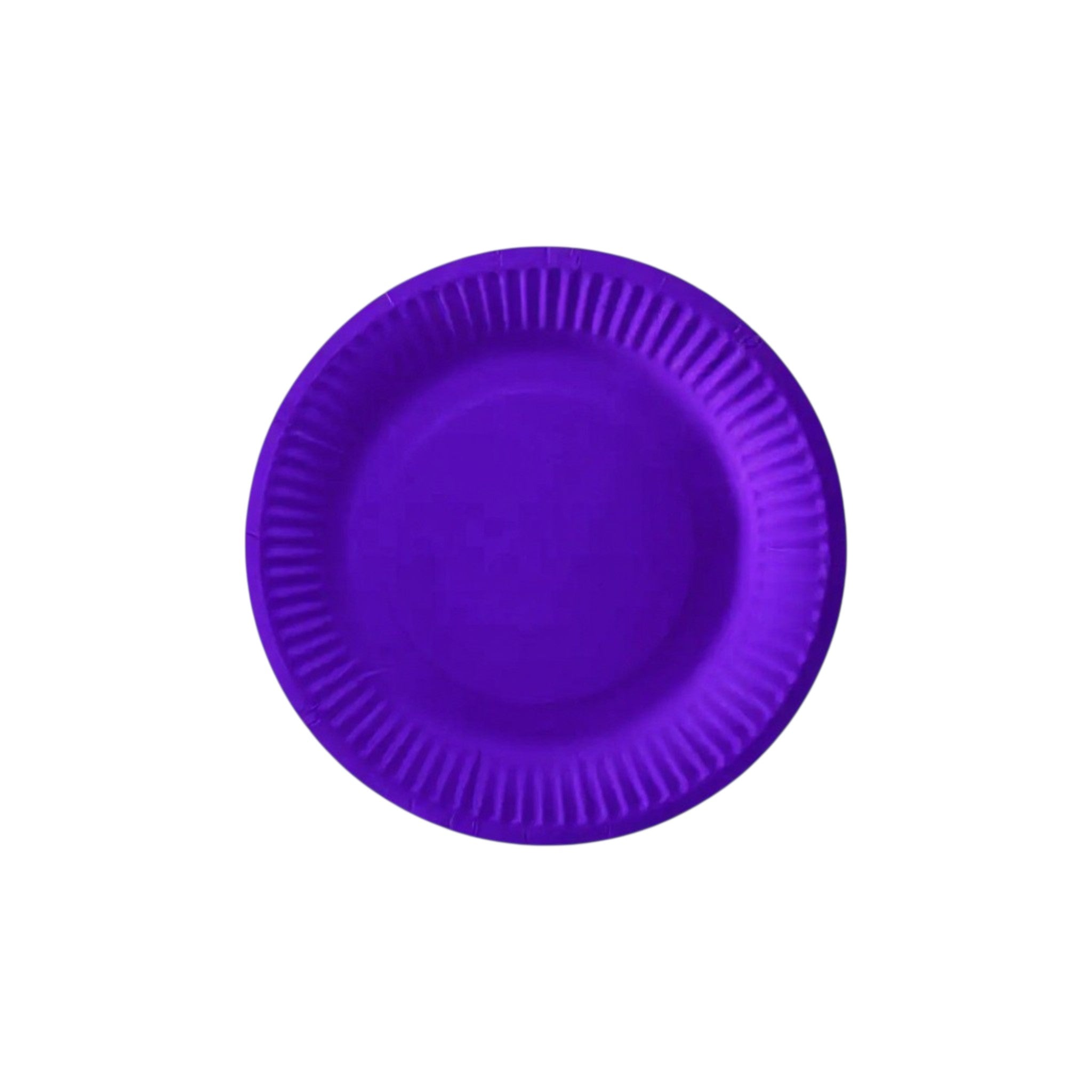 Party Paper Plates 9inch 10pack