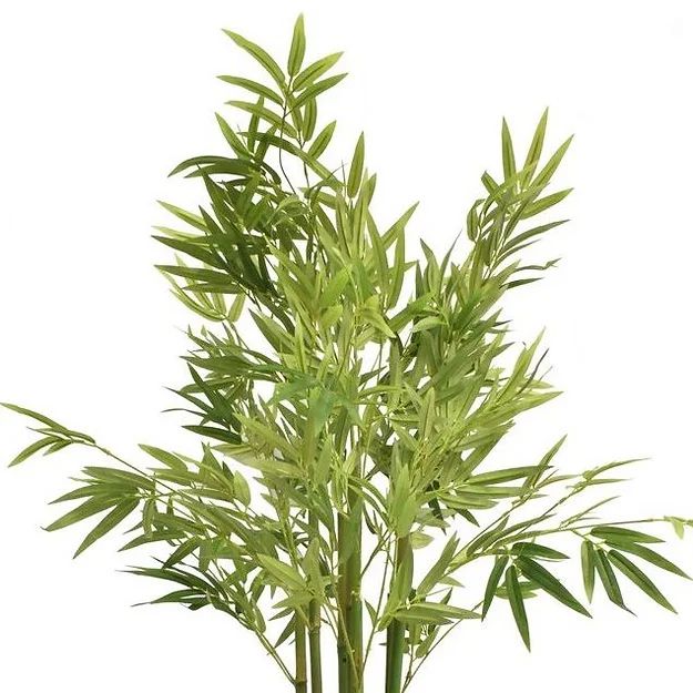 Artificial Bamboo Reed Tree 200cm Plant 295