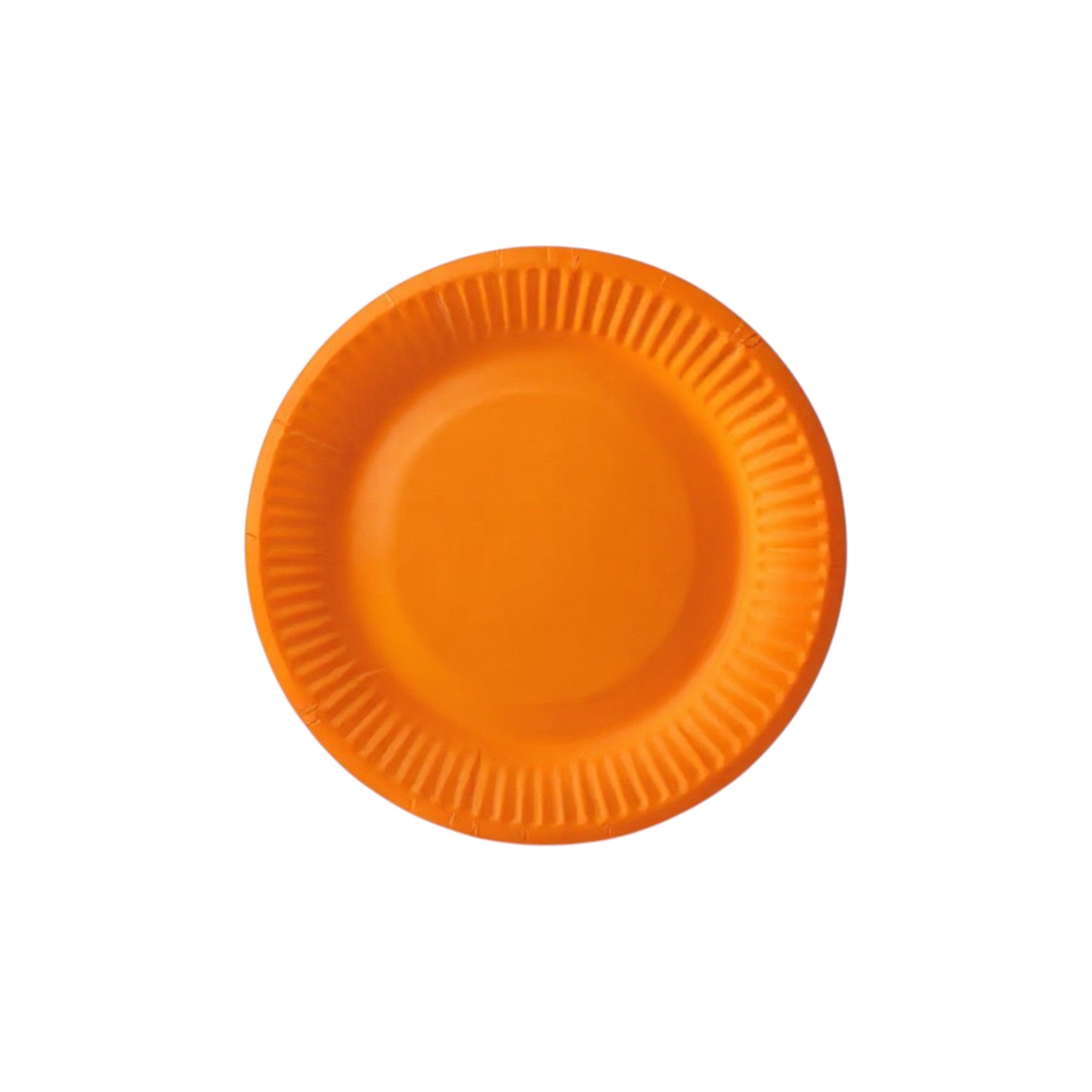 Party Paper Plates 9inch 10pack