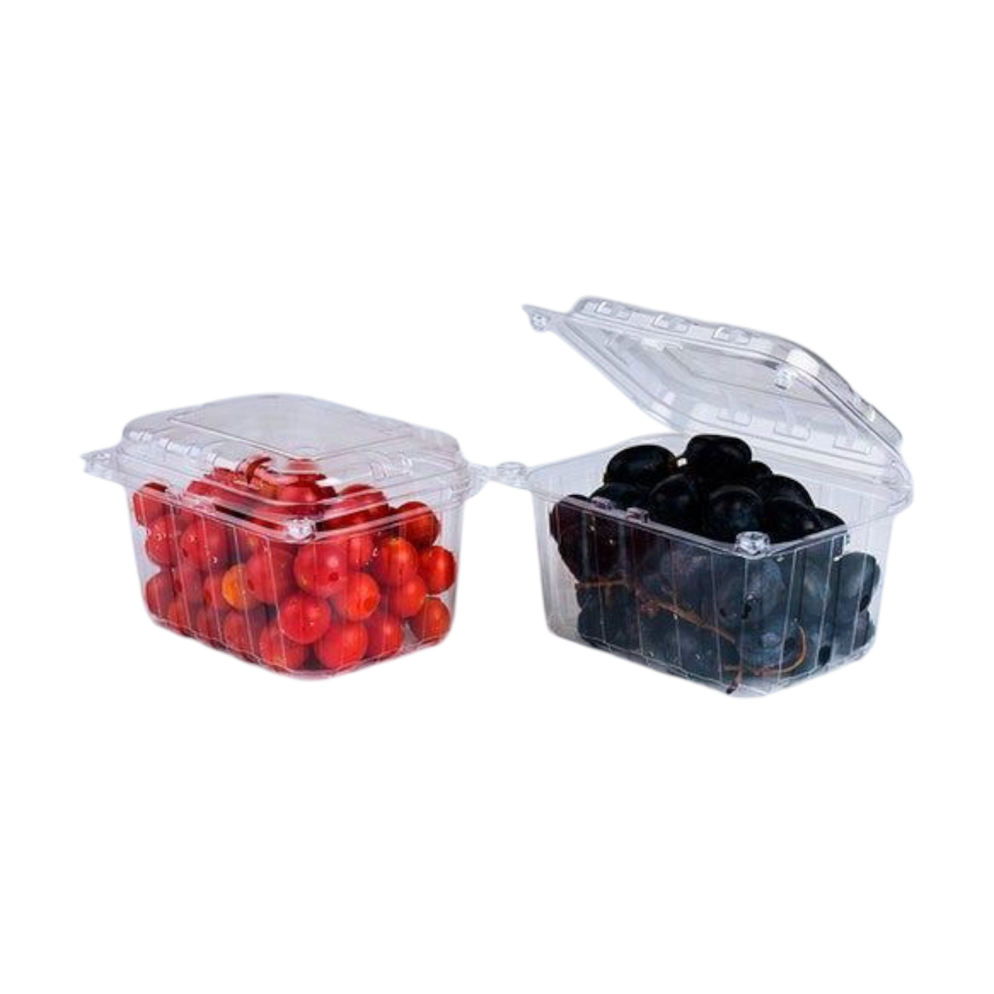 Zibo Fruit Salad Punnet Clamshell Medium CS78/46 - T175/T282