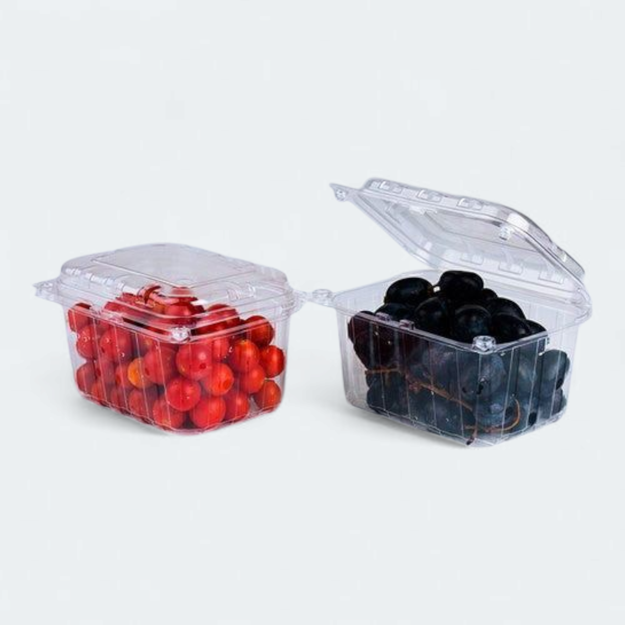 Zibo Fruit Salad Punnet Clamshell Medium CS78/46 - T175/T282