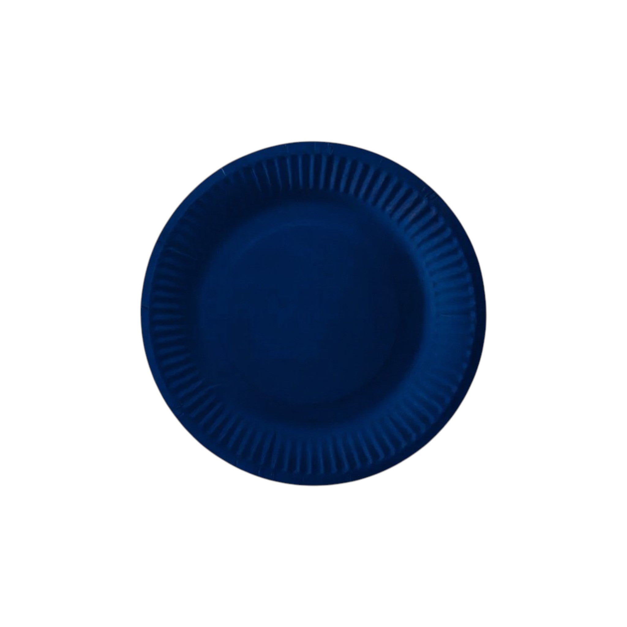 Party Paper Plates 9inch 10pack