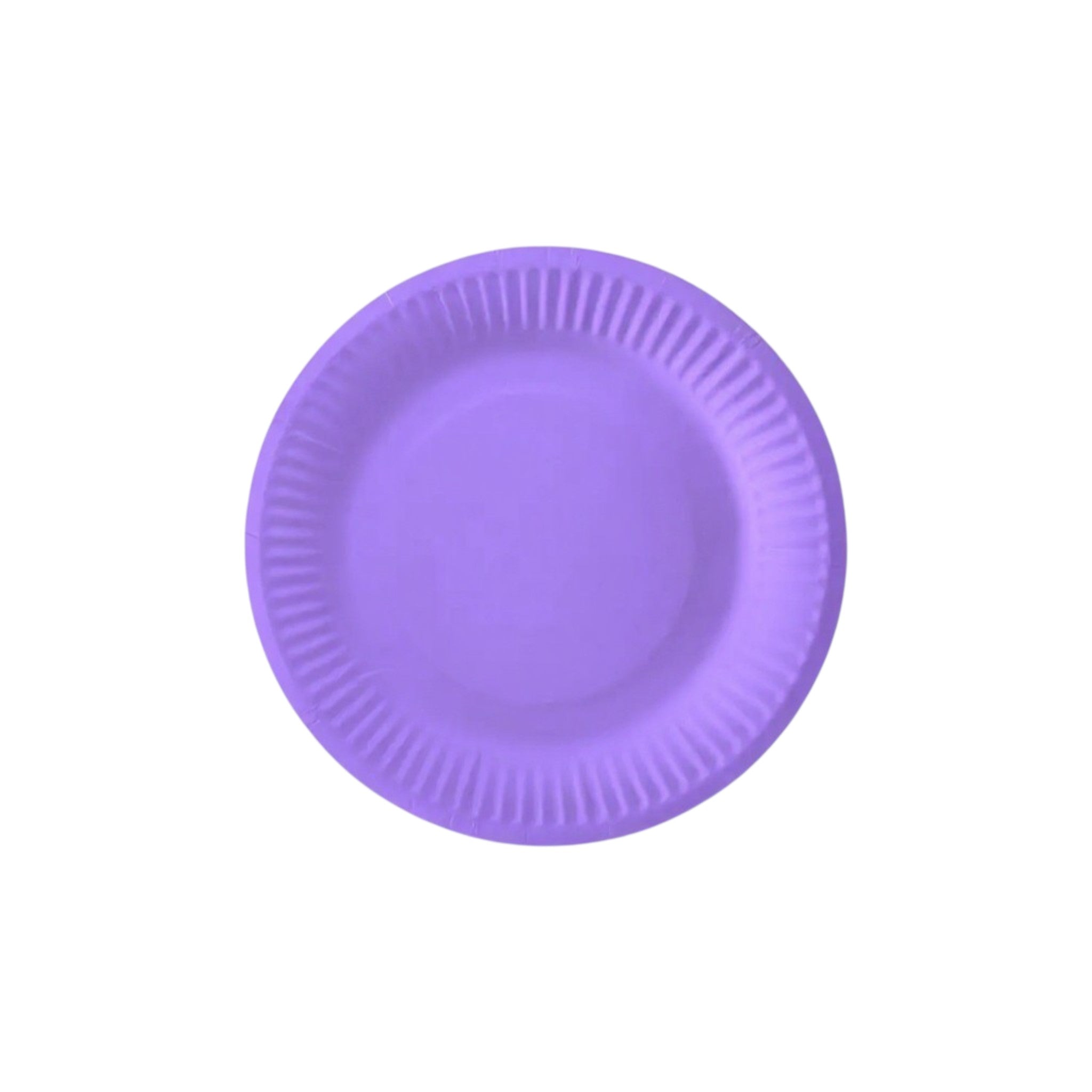 Party Paper Plates 9inch 10pack