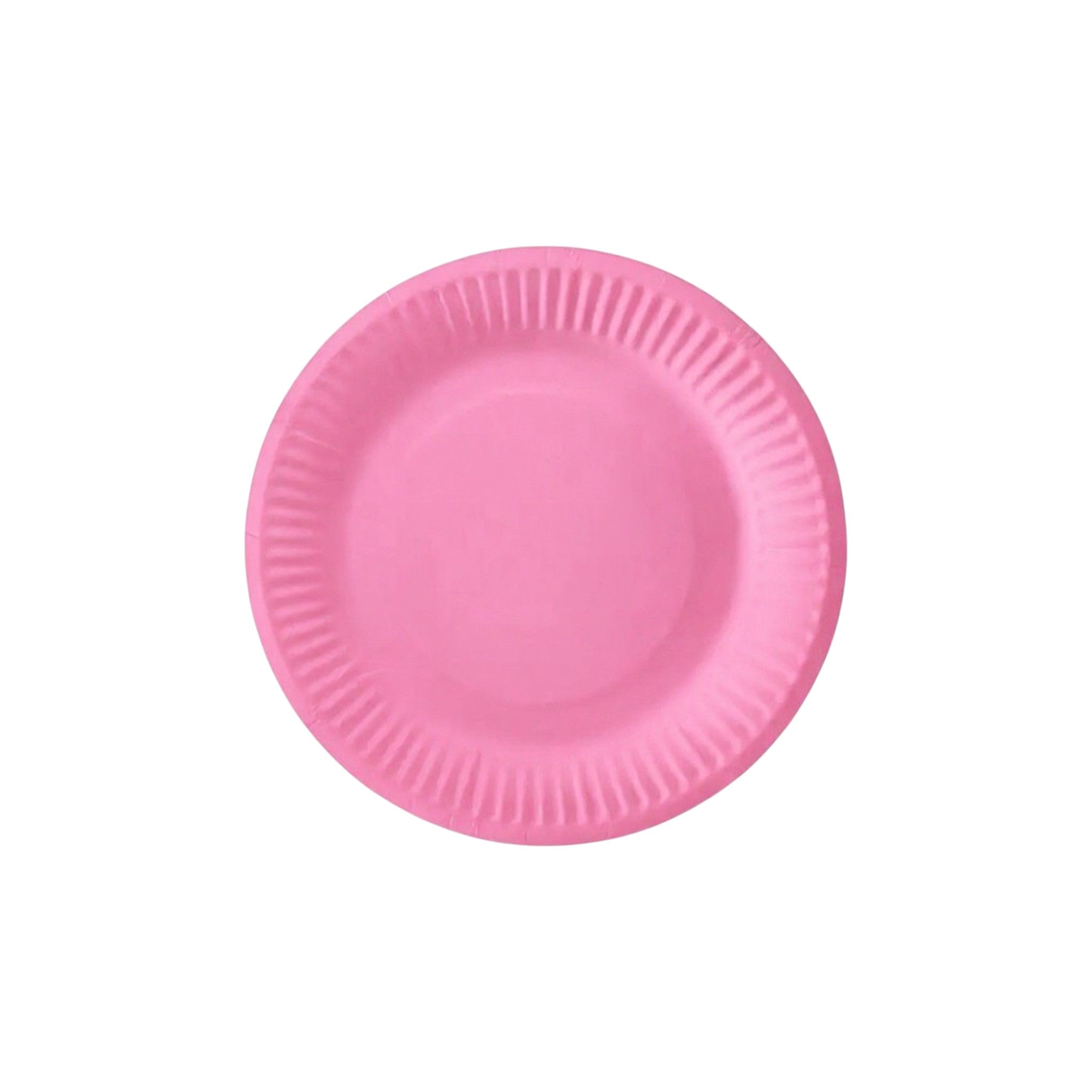 Party Paper Plates 9inch 10pack