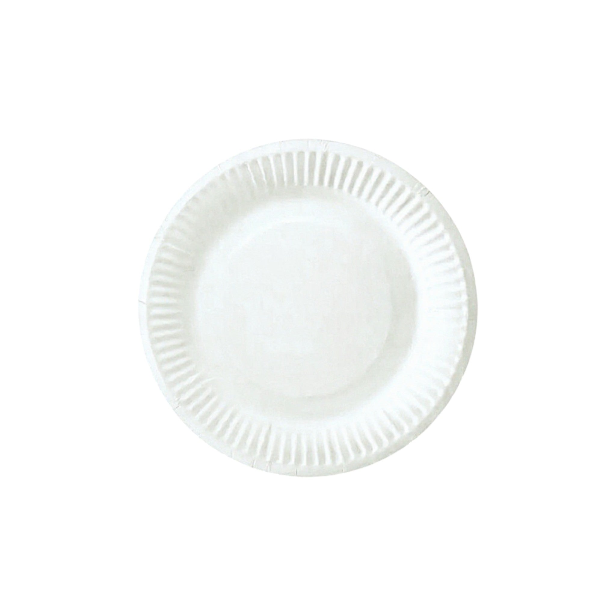 Party Paper Plates 9inch 10pack