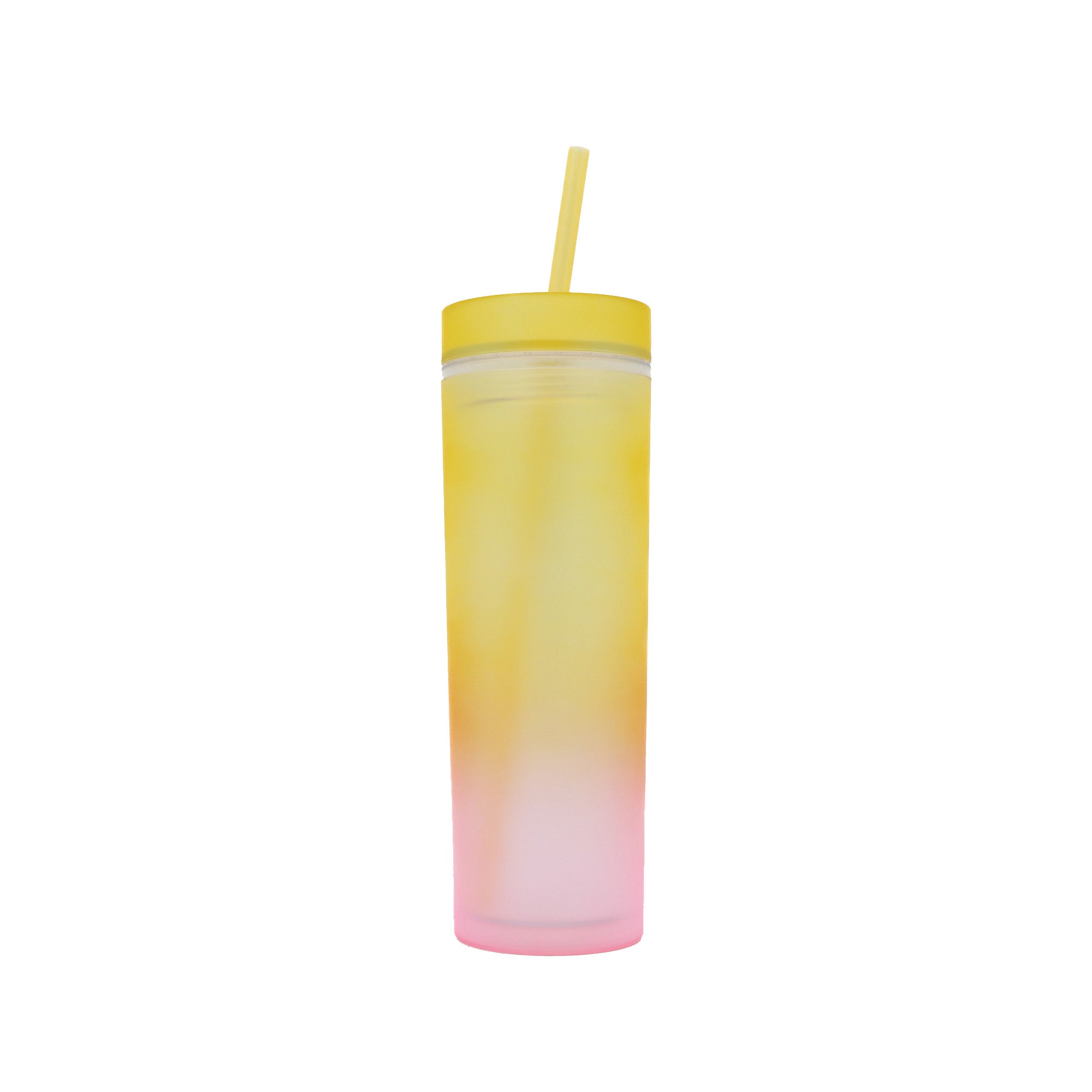 Skinny Drinking Tumbler 473ml Rainbow Gradient Frosted Acrylic Reusable with Lid & Straw