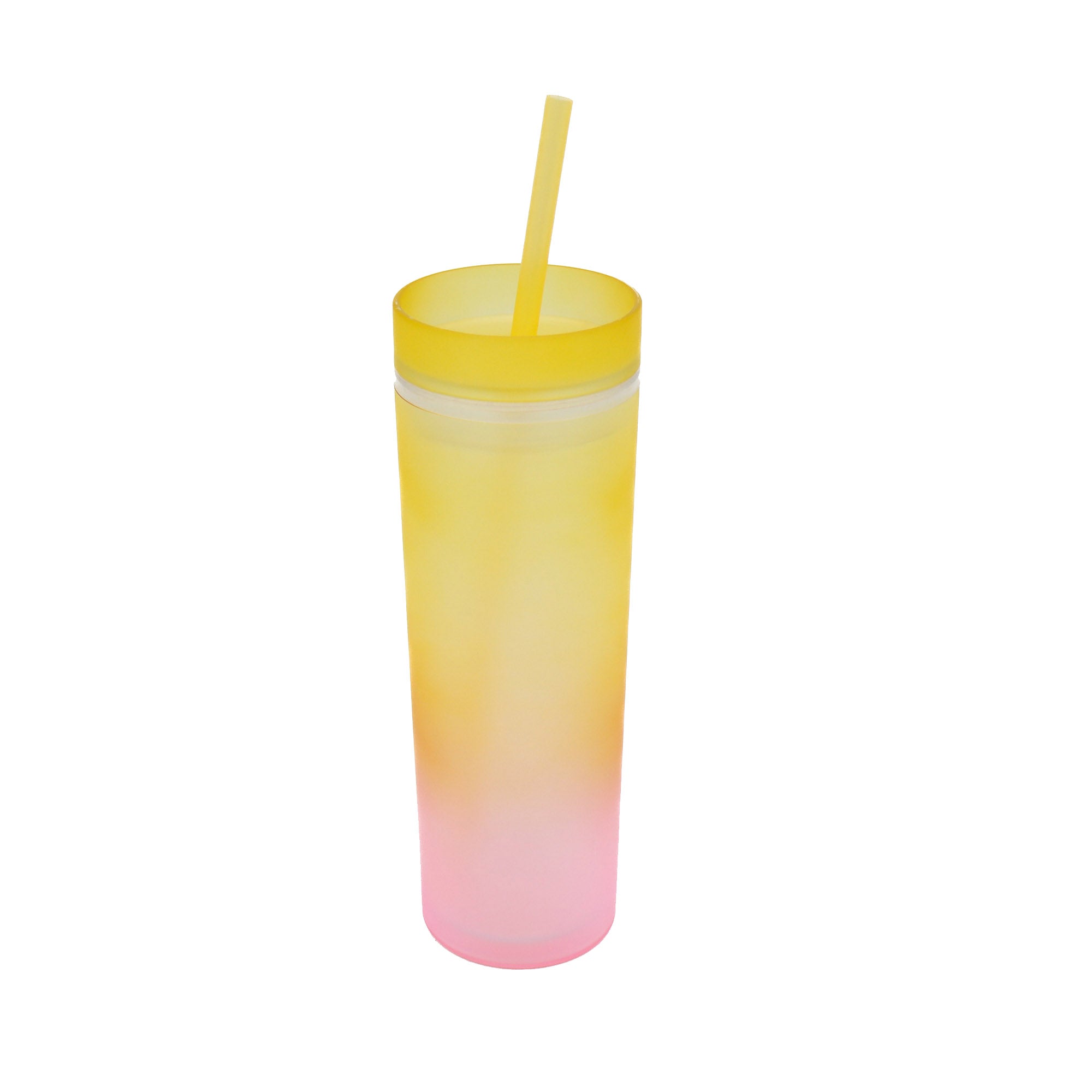Skinny Drinking Tumbler 473ml Rainbow Gradient Frosted Acrylic Reusable with Lid & Straw