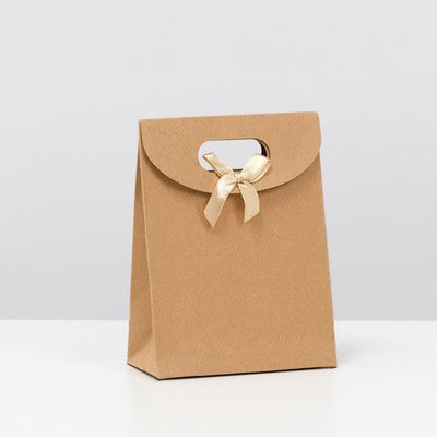 Kraft Paper Gift Bag Die Cut Handle with Bow Ribbon