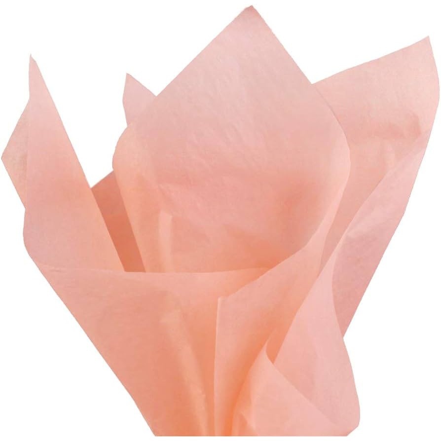 Gift Wrap Tissue Paper 50x66cm 10x Sheets