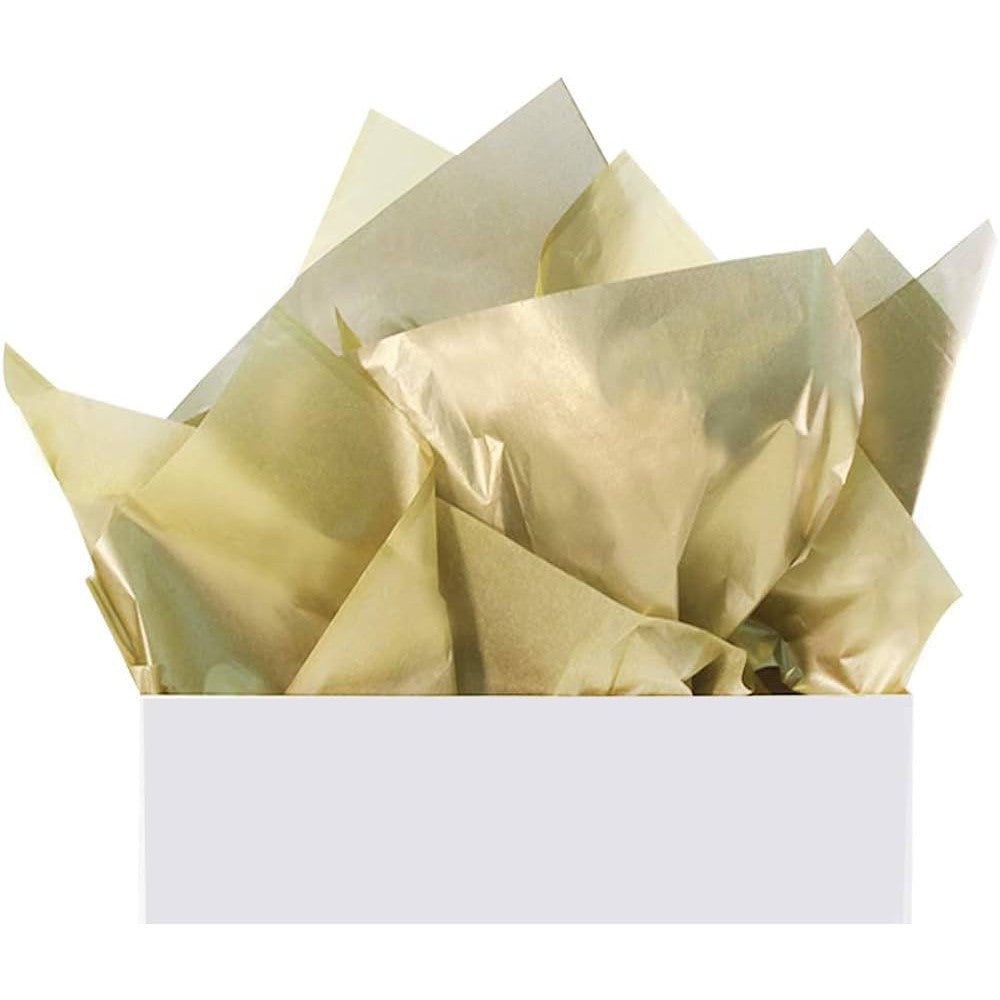 Gift Wrap Tissue Paper 50.8x66cm 10sheets