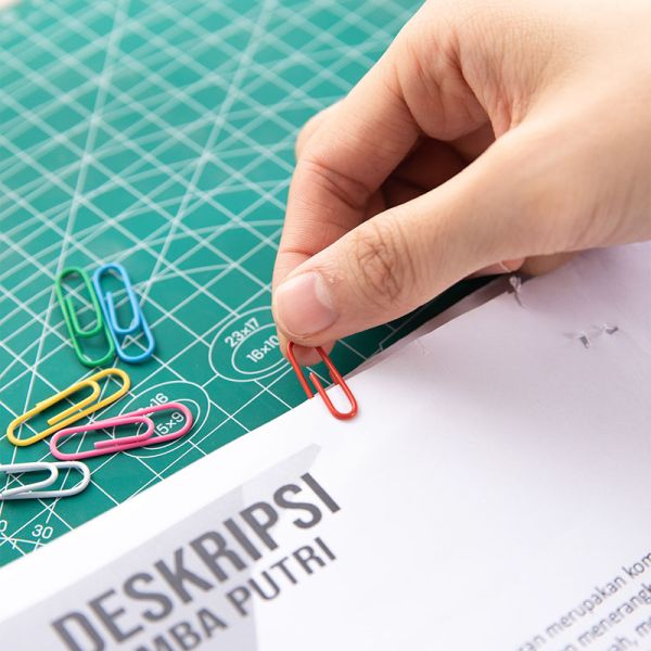 Deli Paper Clips Coloured 29mm Assorted 100pack