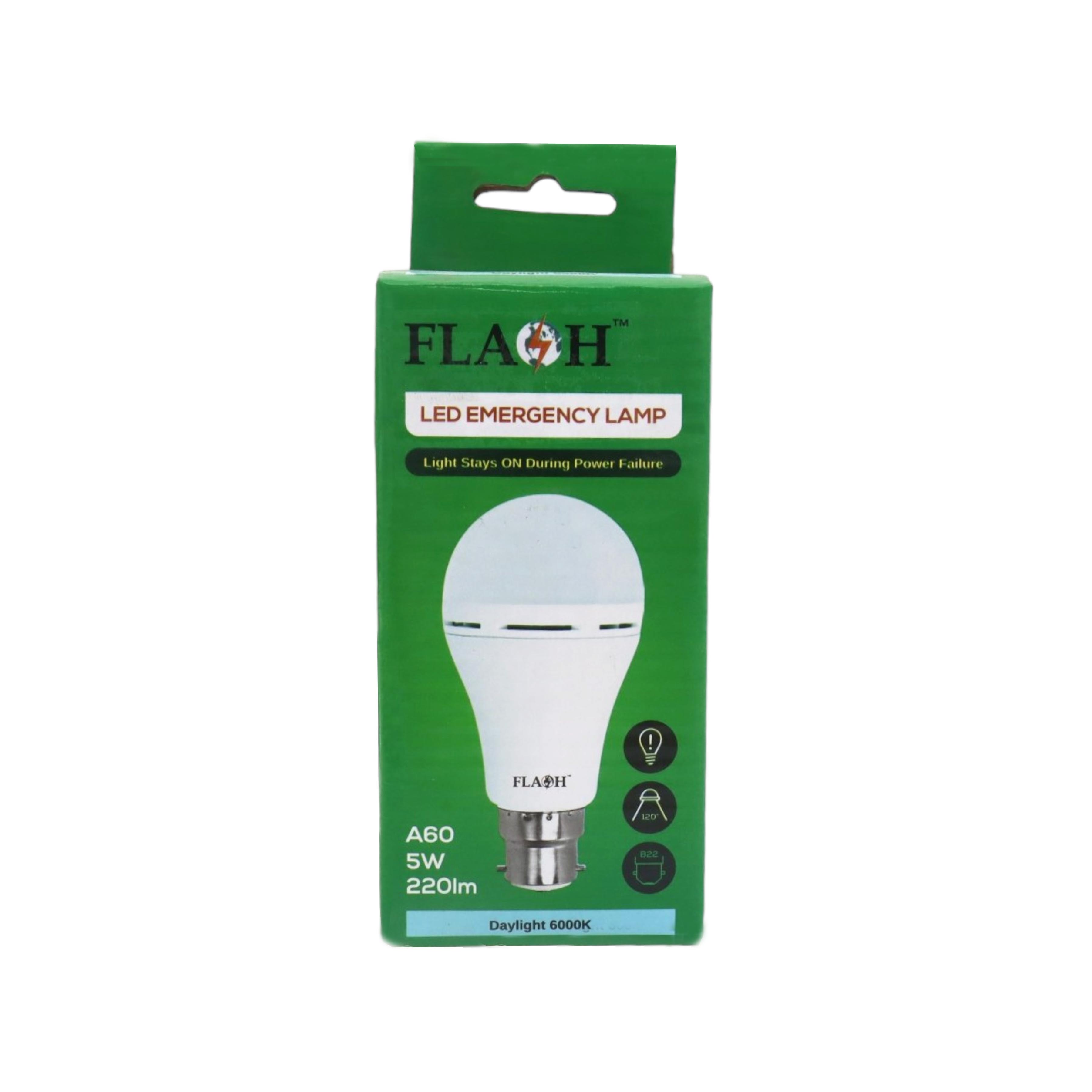 LED Emergency lamp 5W Daylight