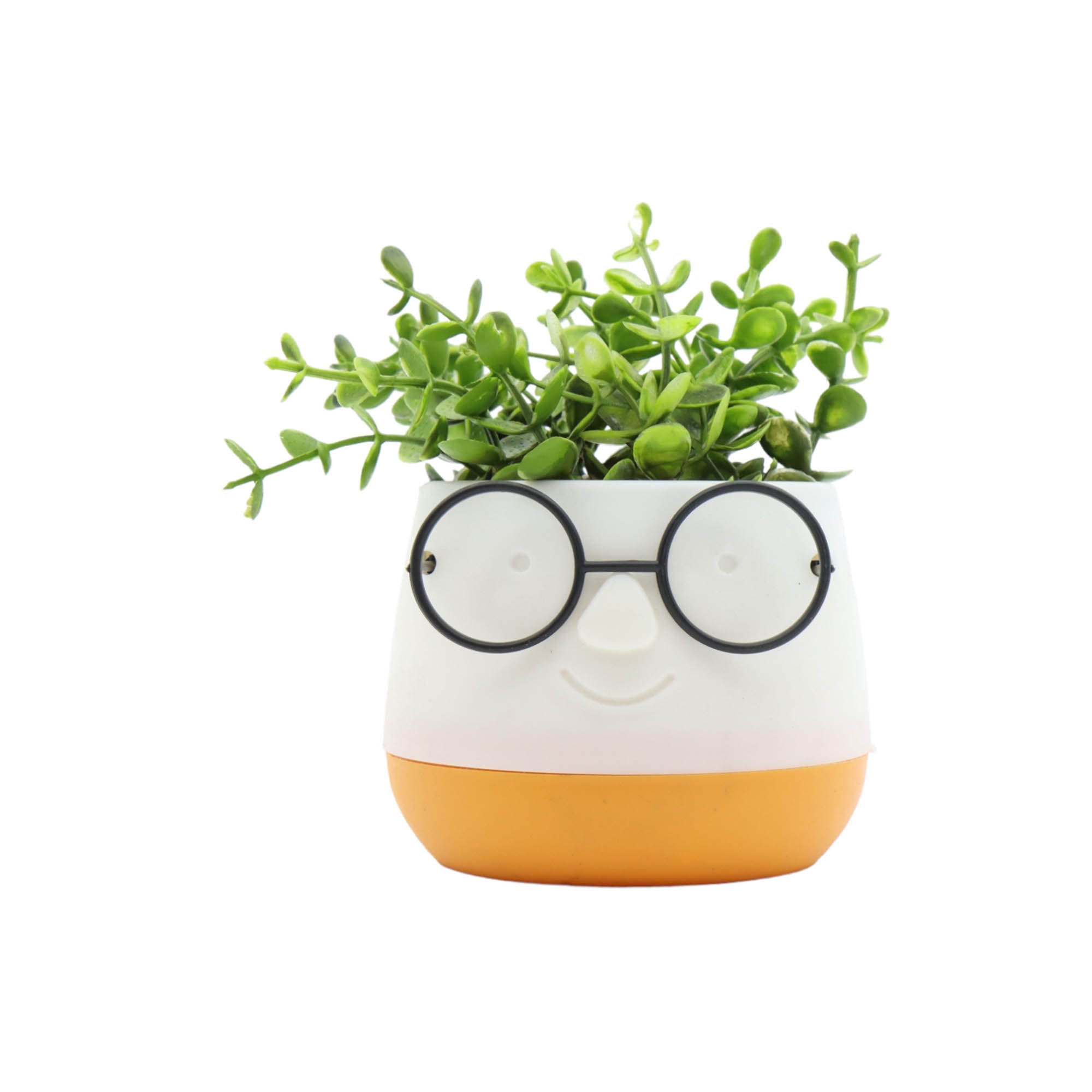 Nu Ware Plastic Flower Pot Spectacles