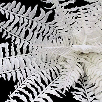Artificial Flower Fern White