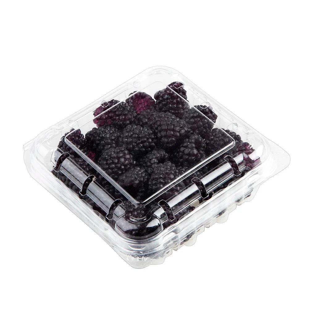 Disposable PP Fruit & Vegetable Packaging Container 11x4cm Blister Transparent Clamshell Flip Lid 10pack