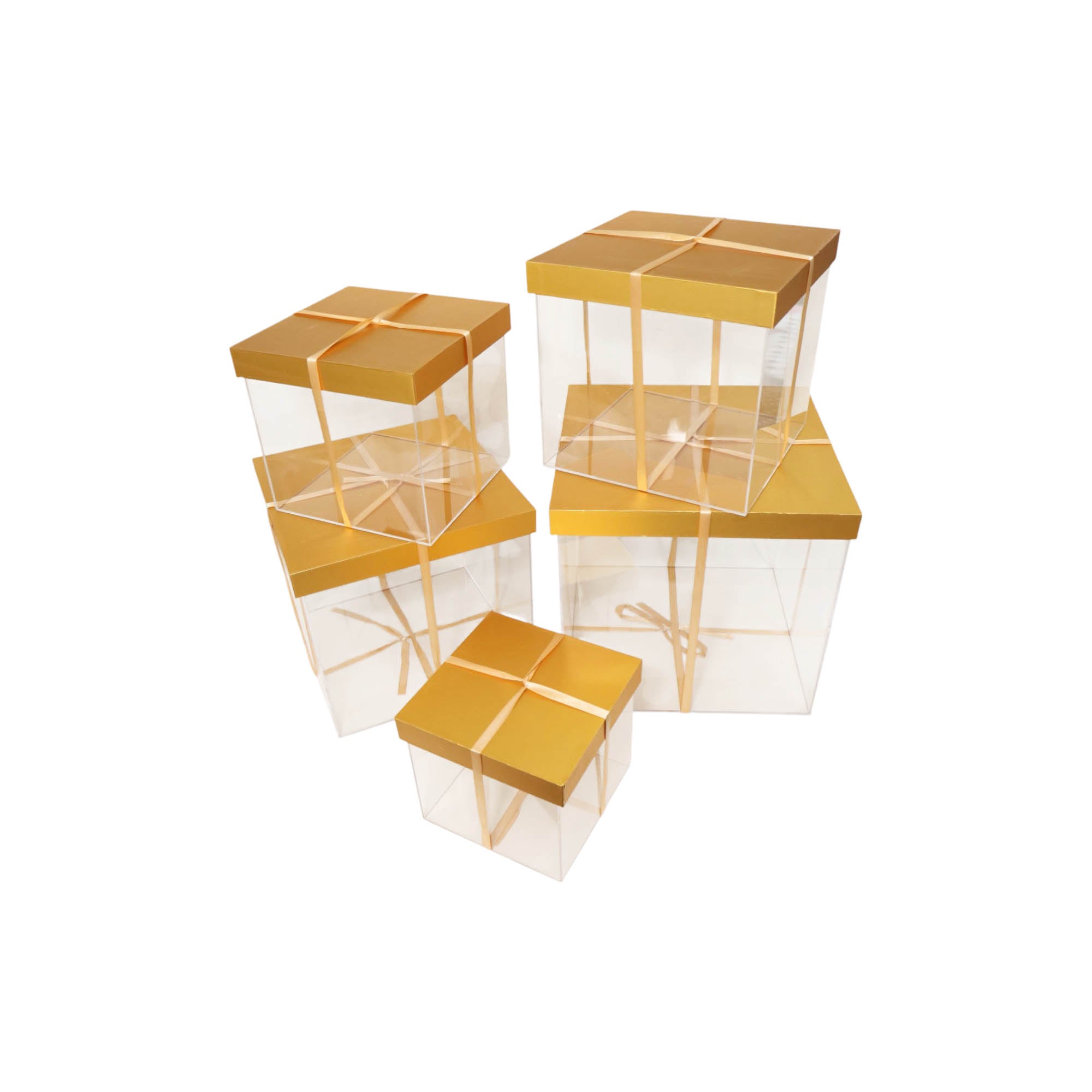 Acrylic Gift Box with Wooden Gold Lid and Ribbon 5pc Set