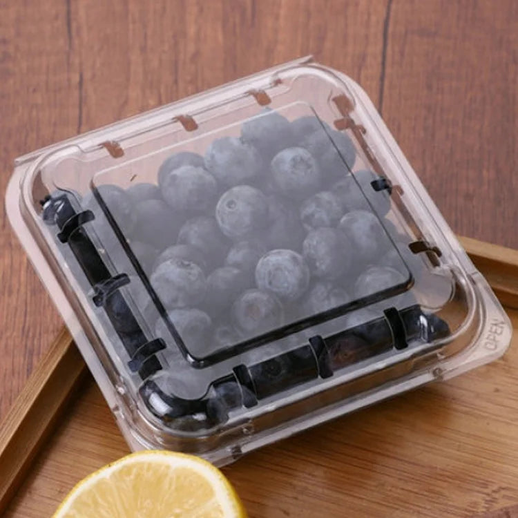 Disposable PP Fruit & Vegetable Packaging Container 11x4cm Blister Transparent Clamshell Flip Lid 10pack