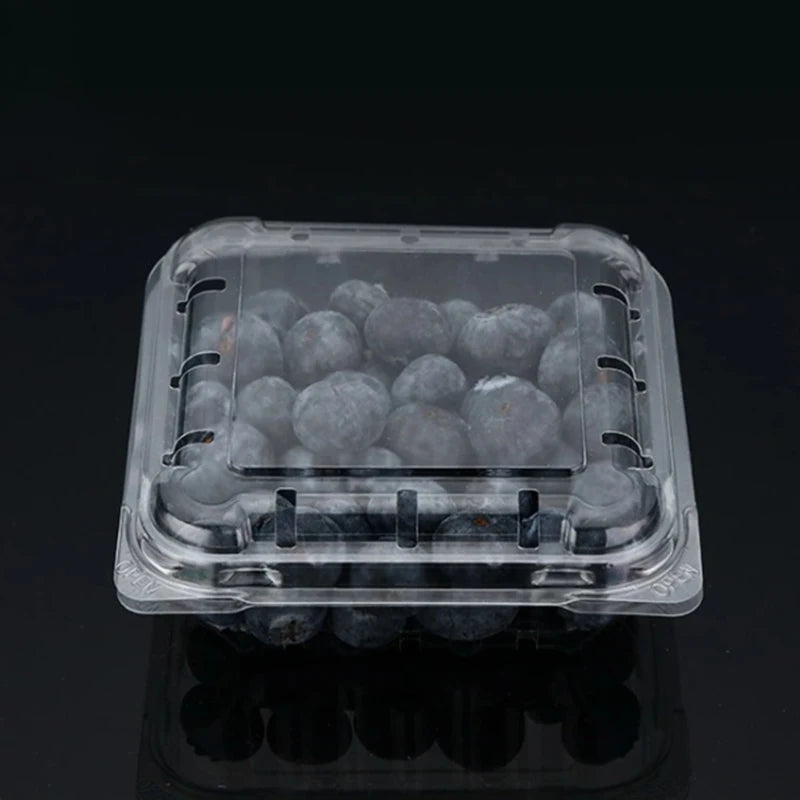 Disposable PP Fruit & Vegetable Packaging Container 11x4cm Blister Transparent Clamshell Flip Lid 10pack