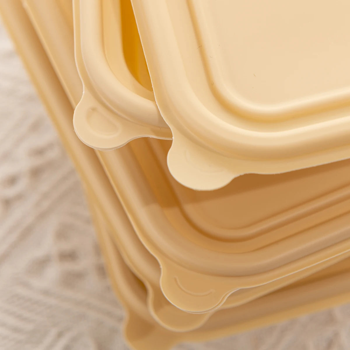 Microwavable Takeaway Lunchbox Food Tray with Lid 18.5x12cm Biodegradable Eco Friendly 10pack