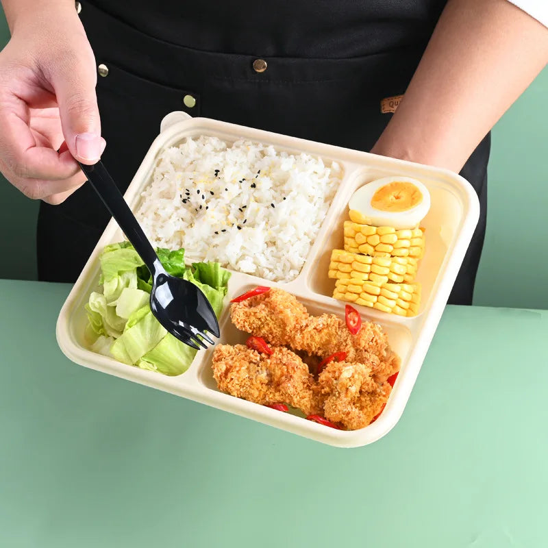 Microwavable Takeaway Lunchbox Food Tray with Lid 4-Division 22.5x19.5cm Biodegradable Eco Friendly 10pack