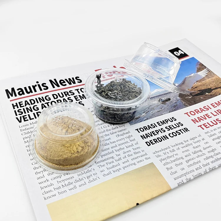 Disposable PP Takeaway Sauce Tubs Round - Plastic Dipping Container with Lid 100pack