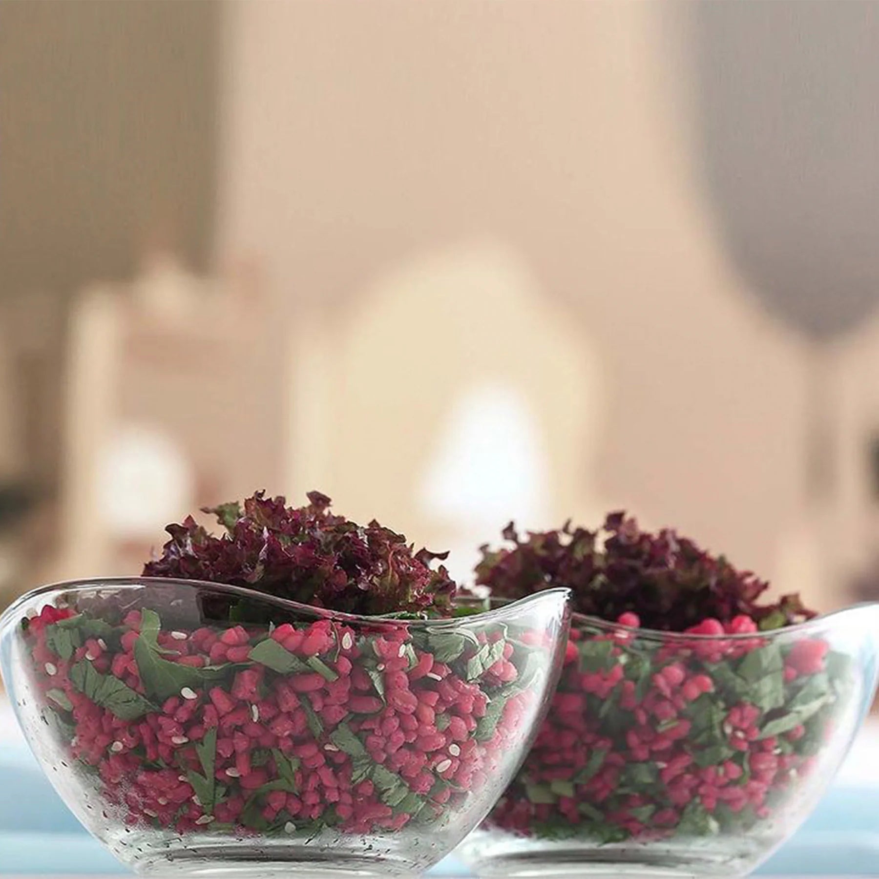 Vira Glass Salad bowl 950ml 2pack SGN1459