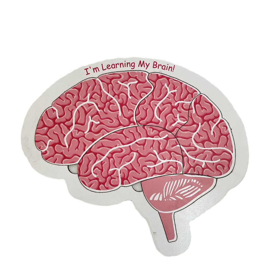 Educational Toy I am Learning My Brain Puzzle 20x20cm MB36