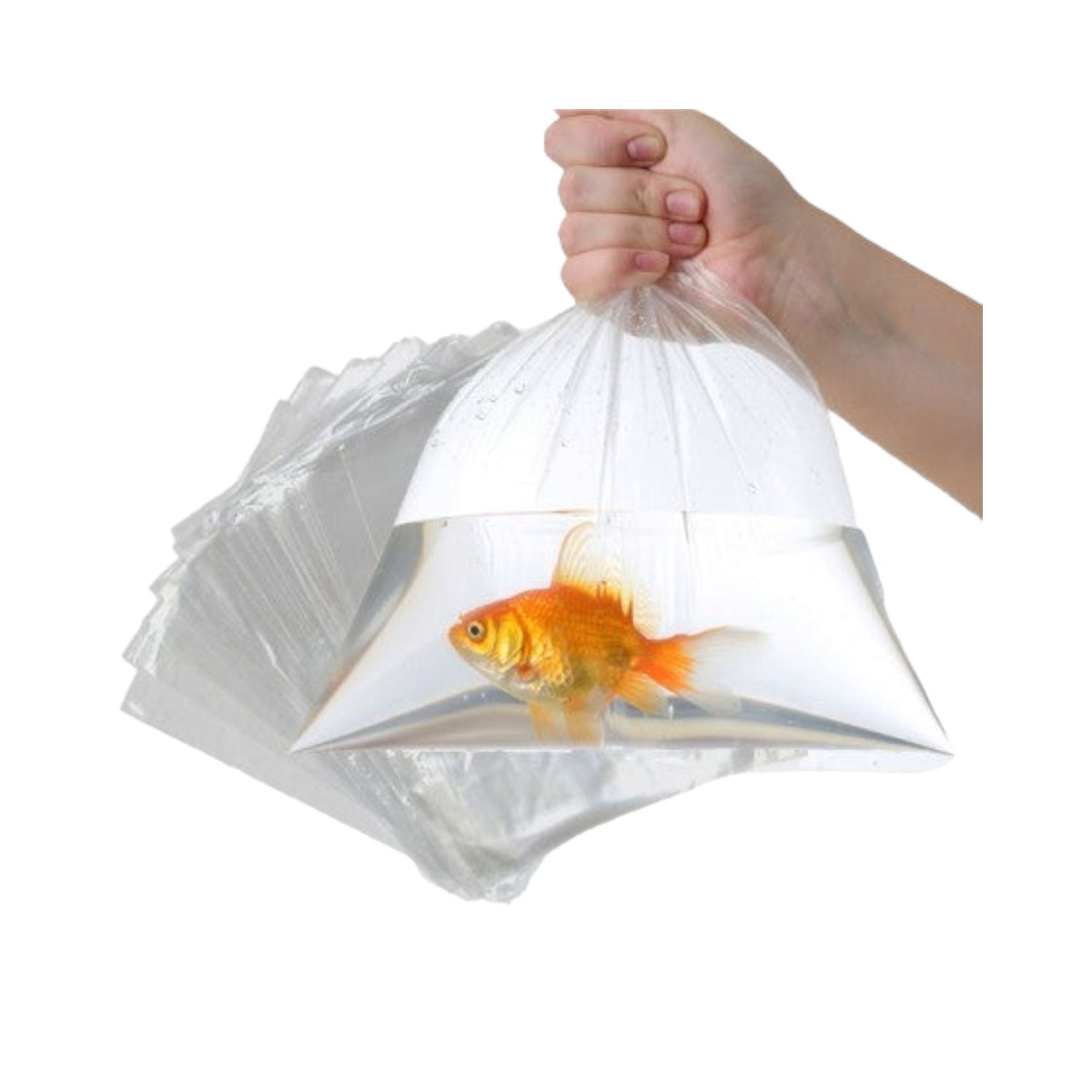 Meat Bag 150x250mm 50mic Clear 500g 250pack