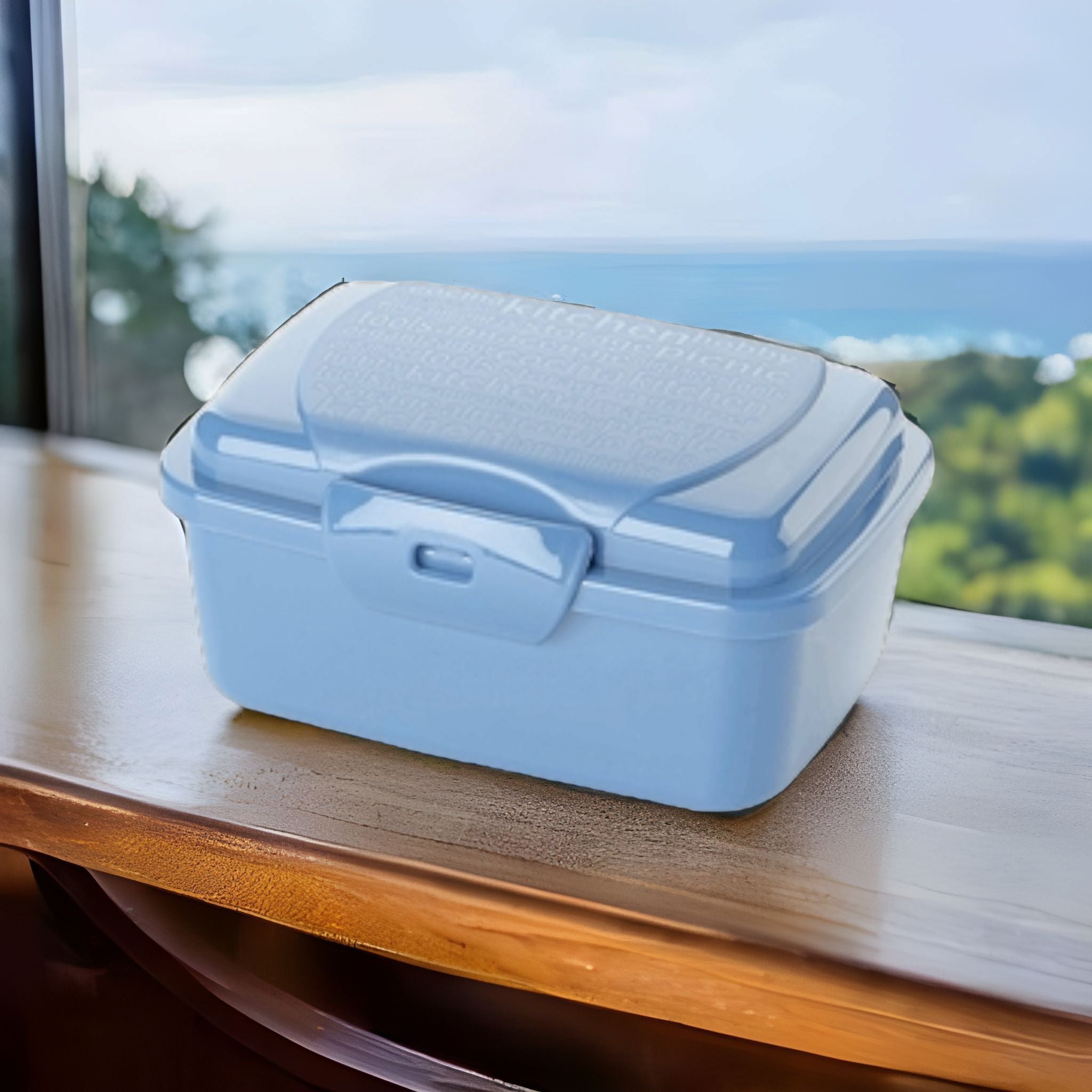 Titiz Take Away Lunch Box 350ml AP9265