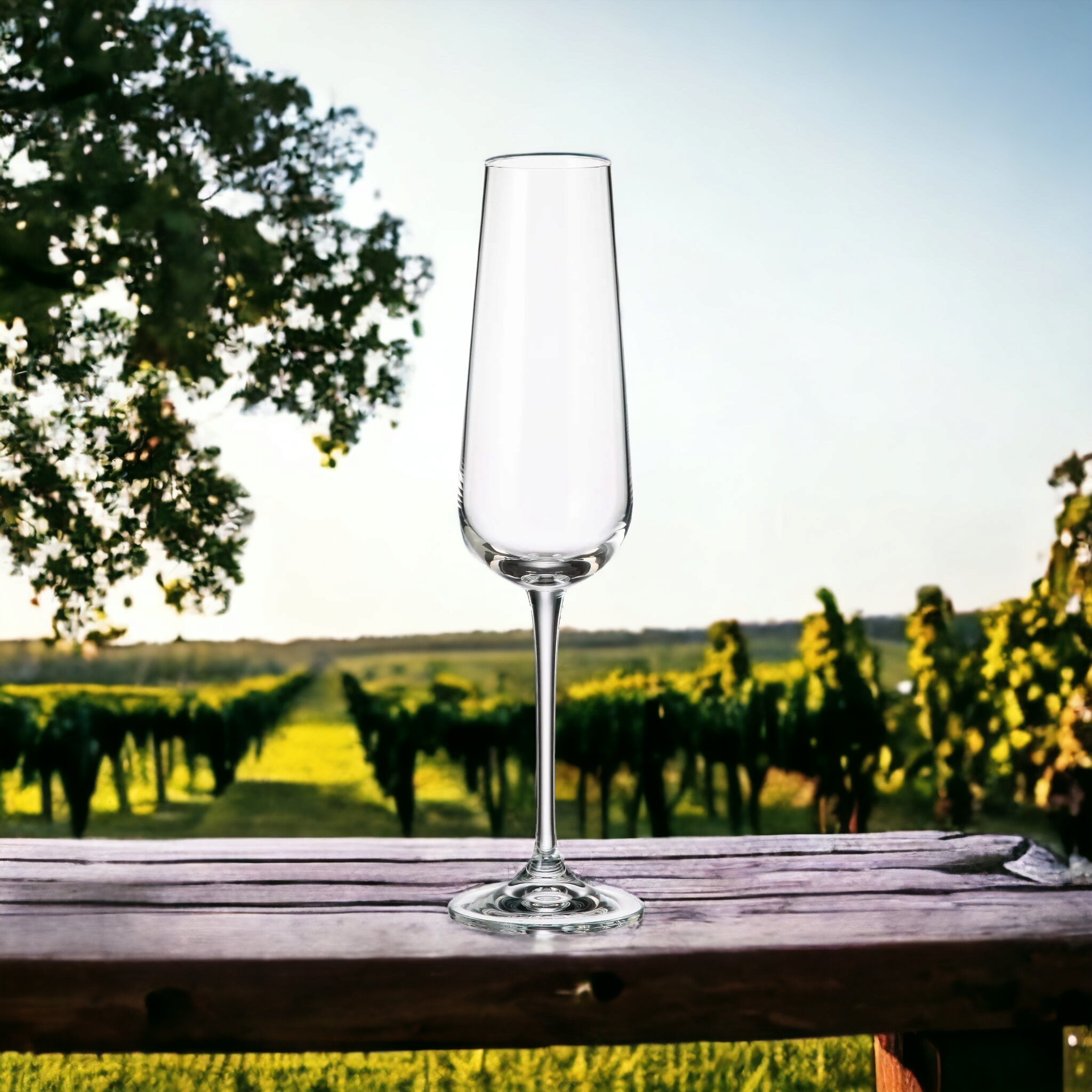 Crystal Glass Tumbler 220ml Flute Champagne 6pack 16143