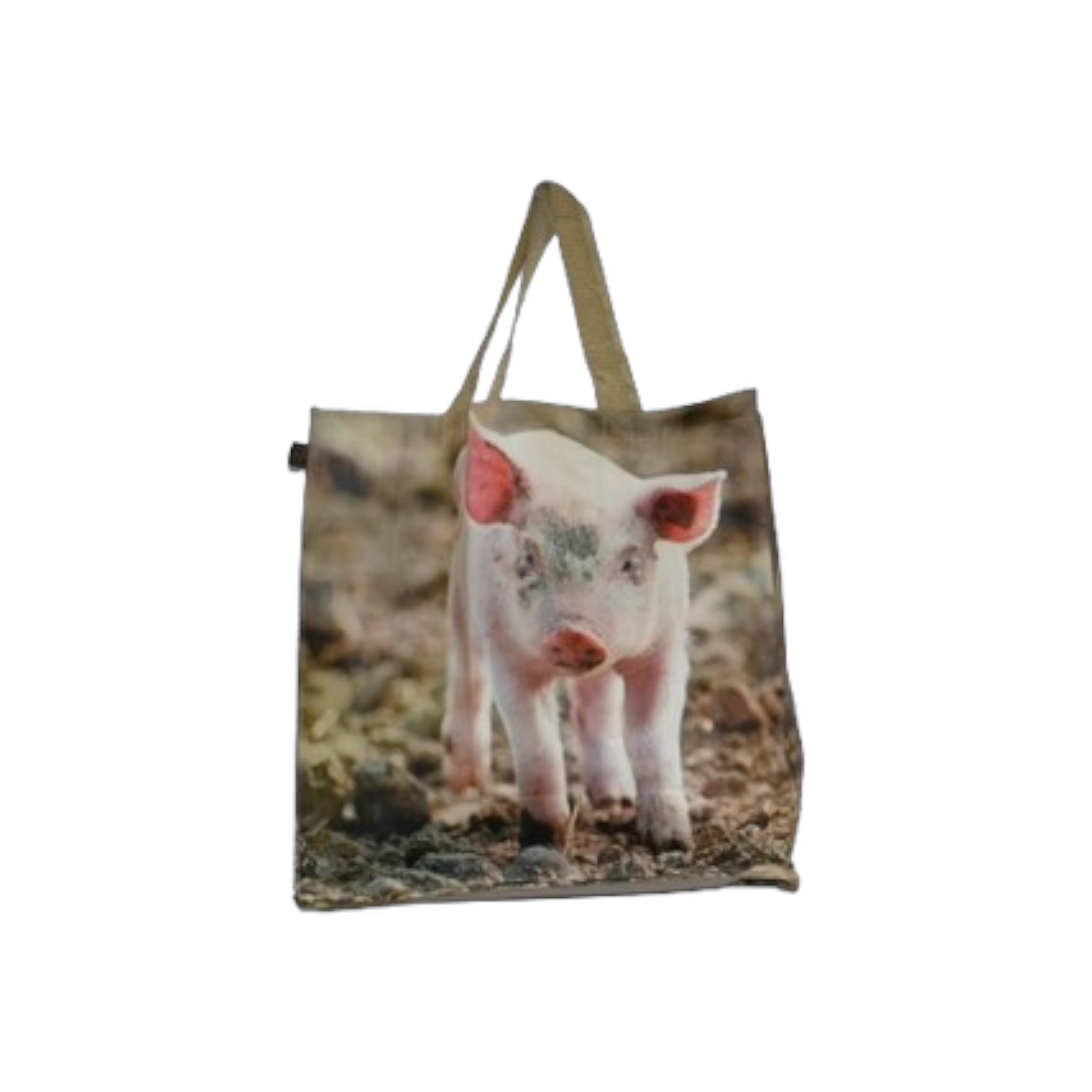 China PVC Shopping Bags Patterned