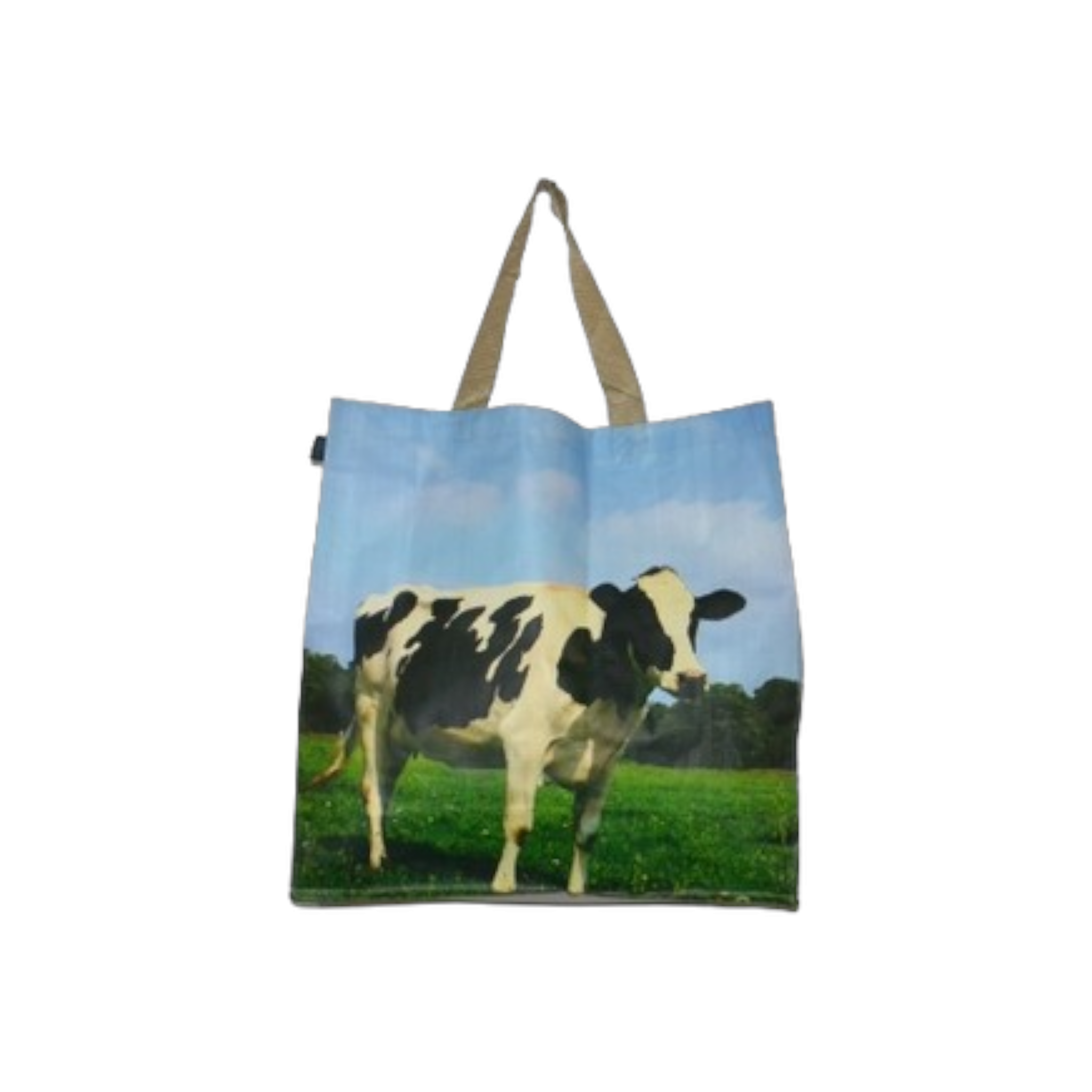 China PVC Shopping Bags Patterned