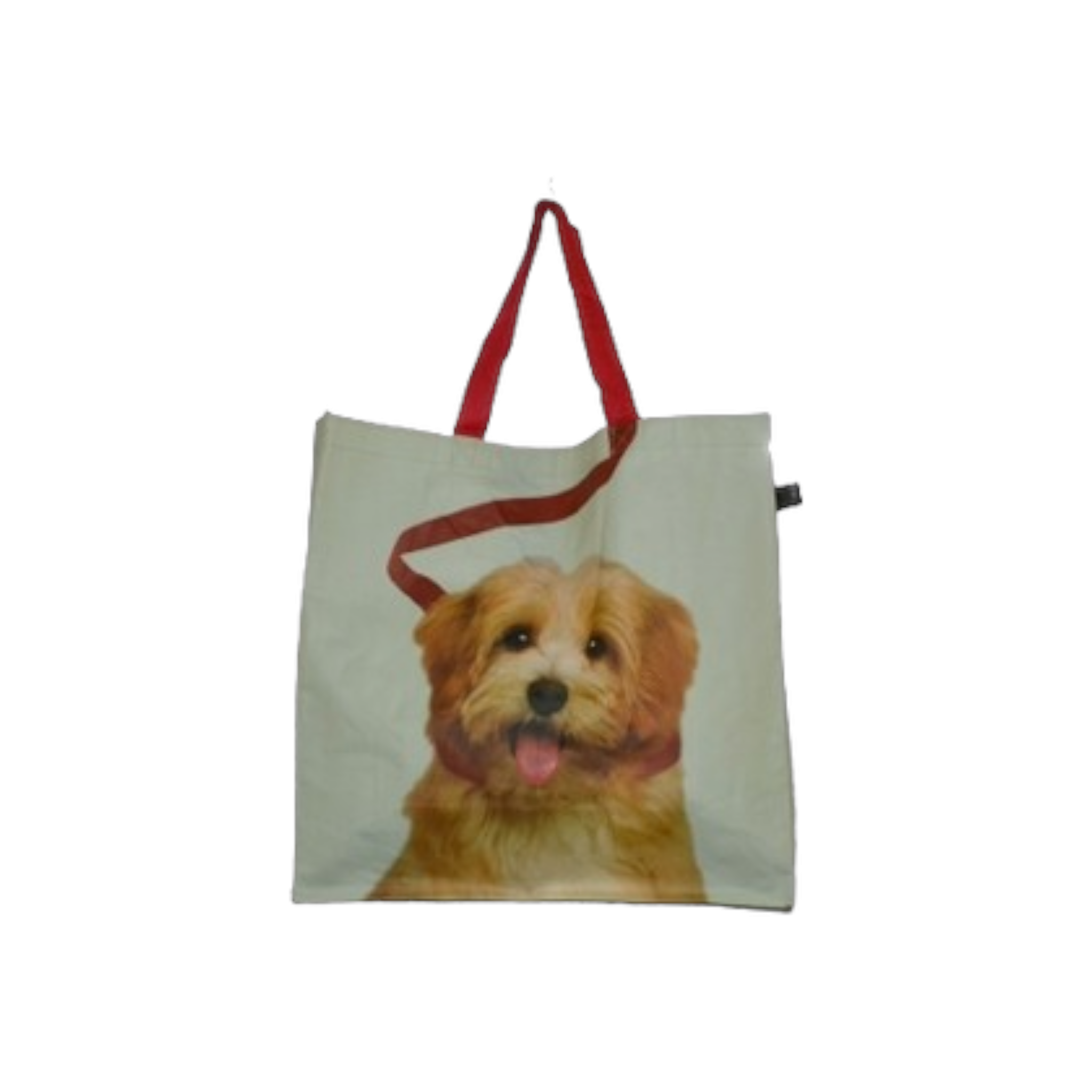 China PVC Shopping Bags Patterned