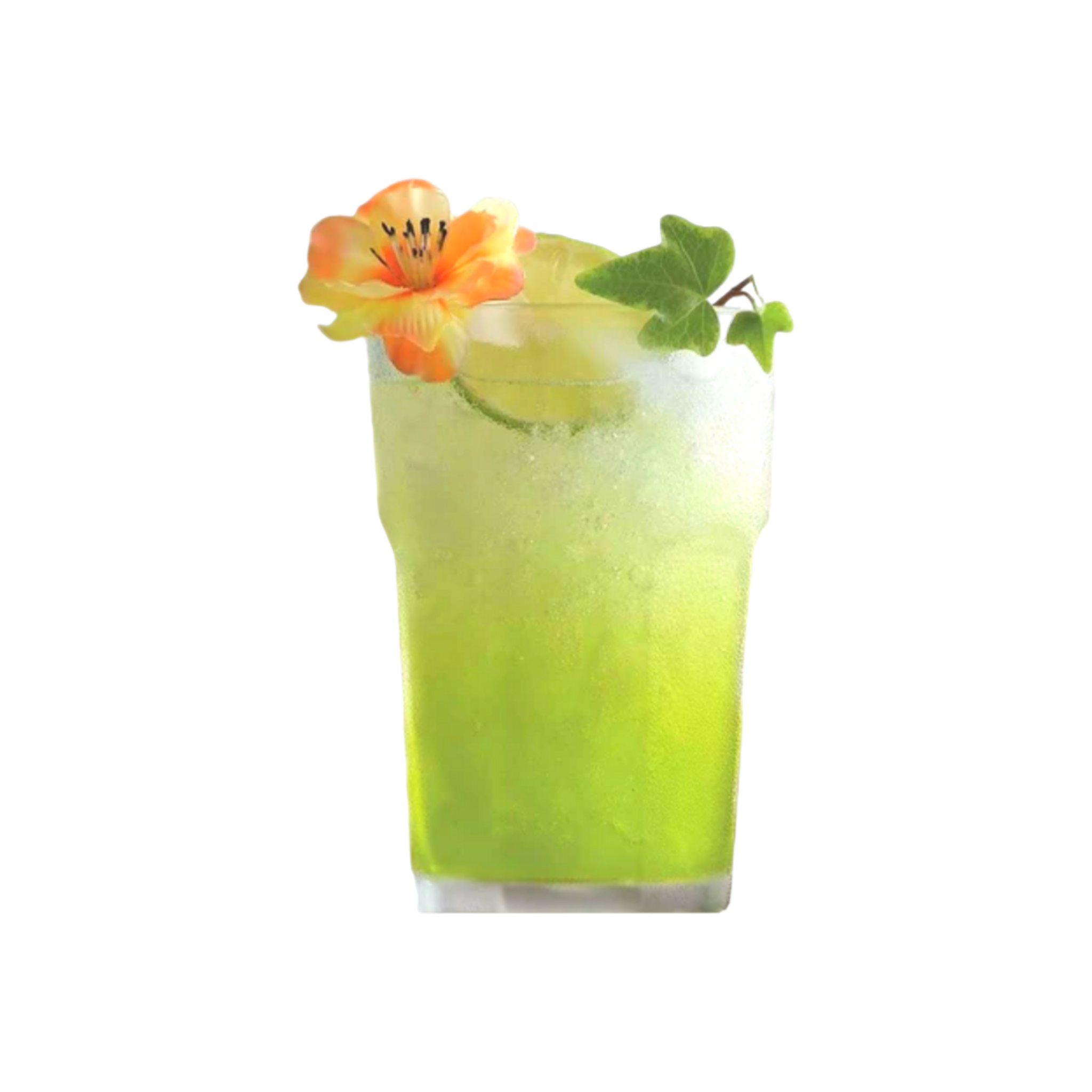 LAV Hiball Glass Tumbler 300ml Aras Long Drinking Glass SGN009