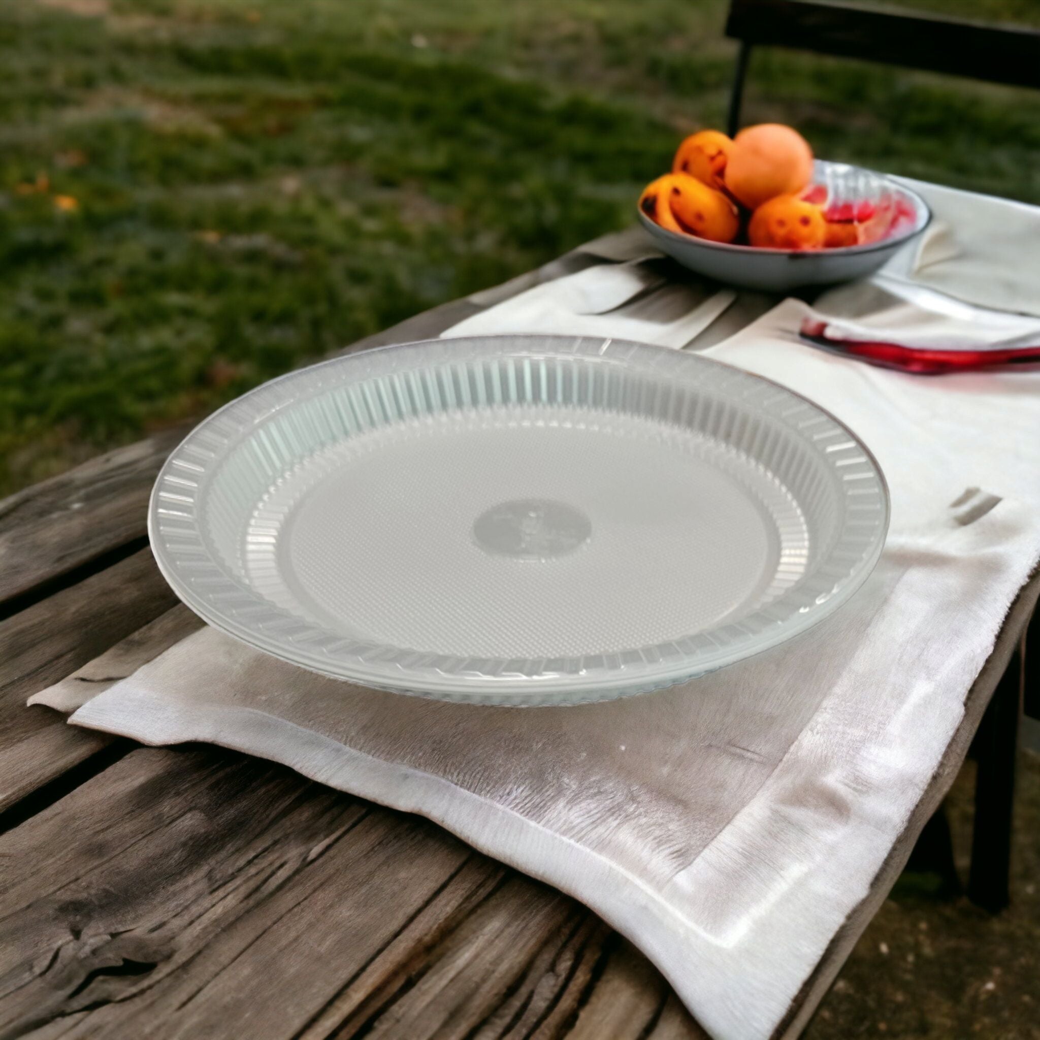 Disposable PP Plastic Dinner Plate Round 245mm 10pcs