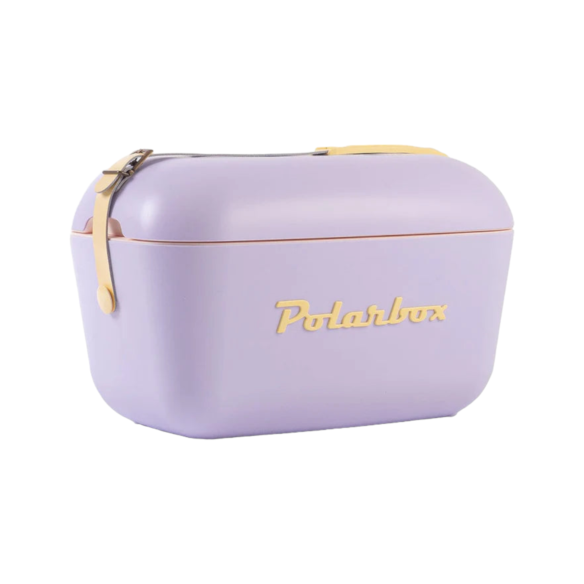 Polarbox 20L Retro Cooler Storage Container