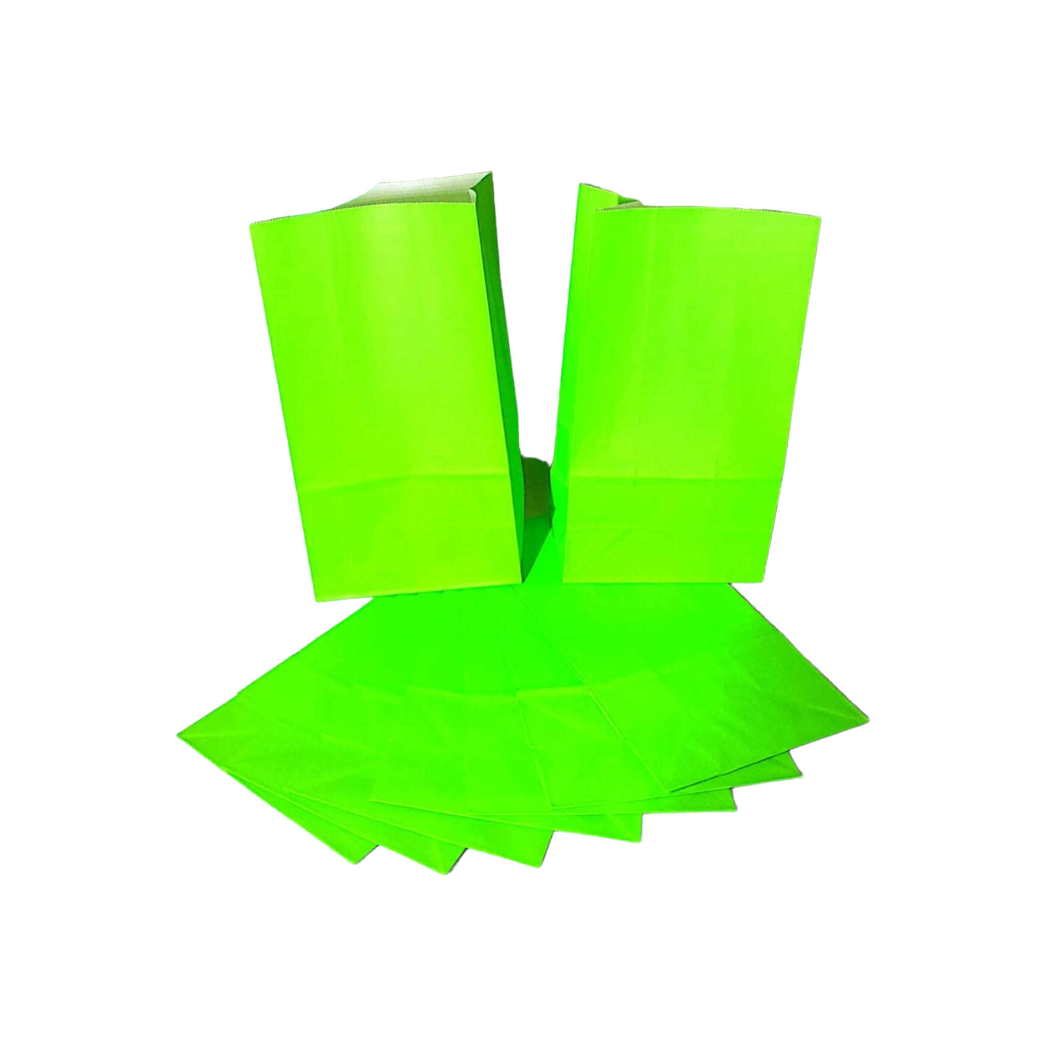 Kraft Paper Party Treat Bags Plain 24x13x8cm 10pack