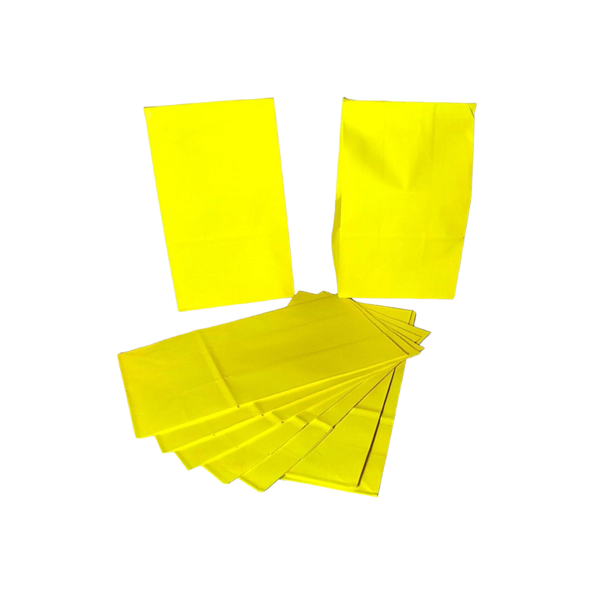 Kraft Paper Party Treat Bags Plain 24x13x8cm 10pack