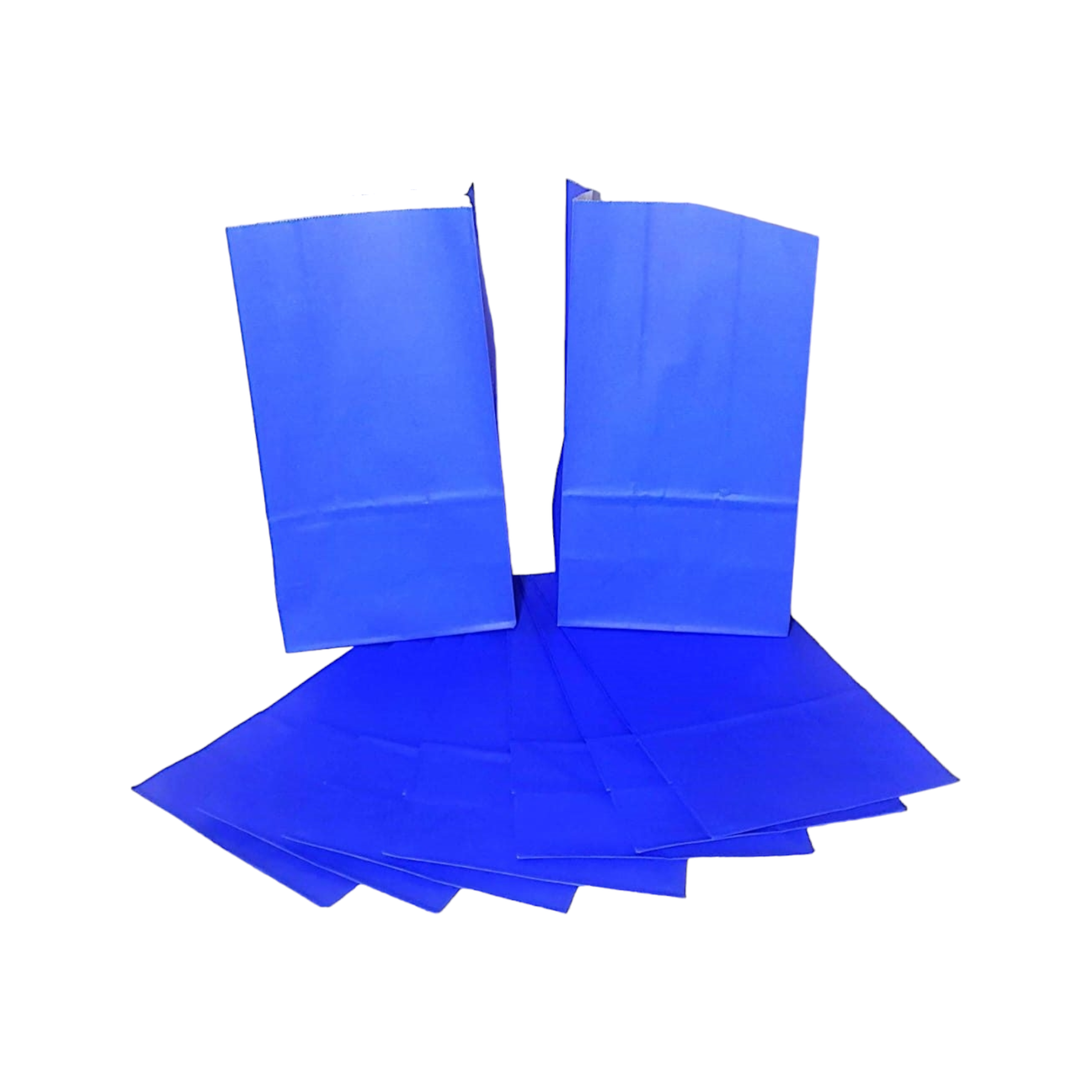 Kraft Paper Party Treat Bags Plain 24x13x8cm 10pack