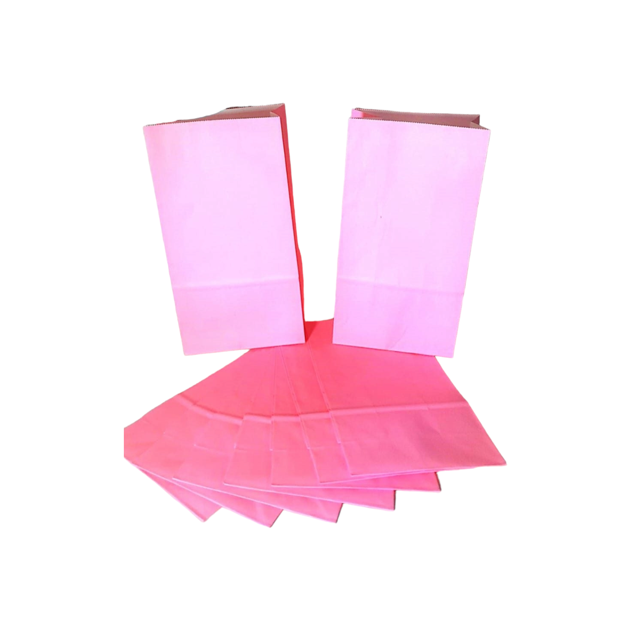 Kraft Paper Party Treat Bags Plain 24x13x8cm 10pack