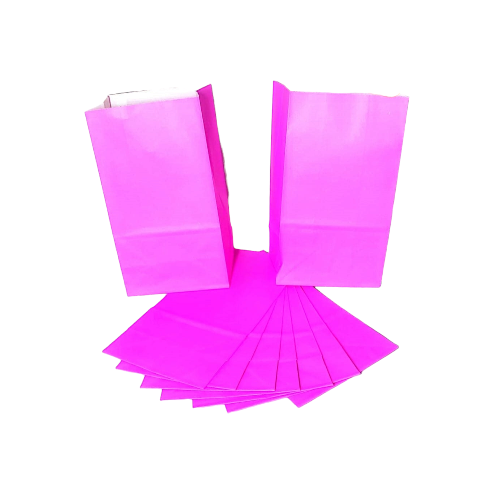 Kraft Paper Party Treat Bags Plain 24x13x8cm 10pack
