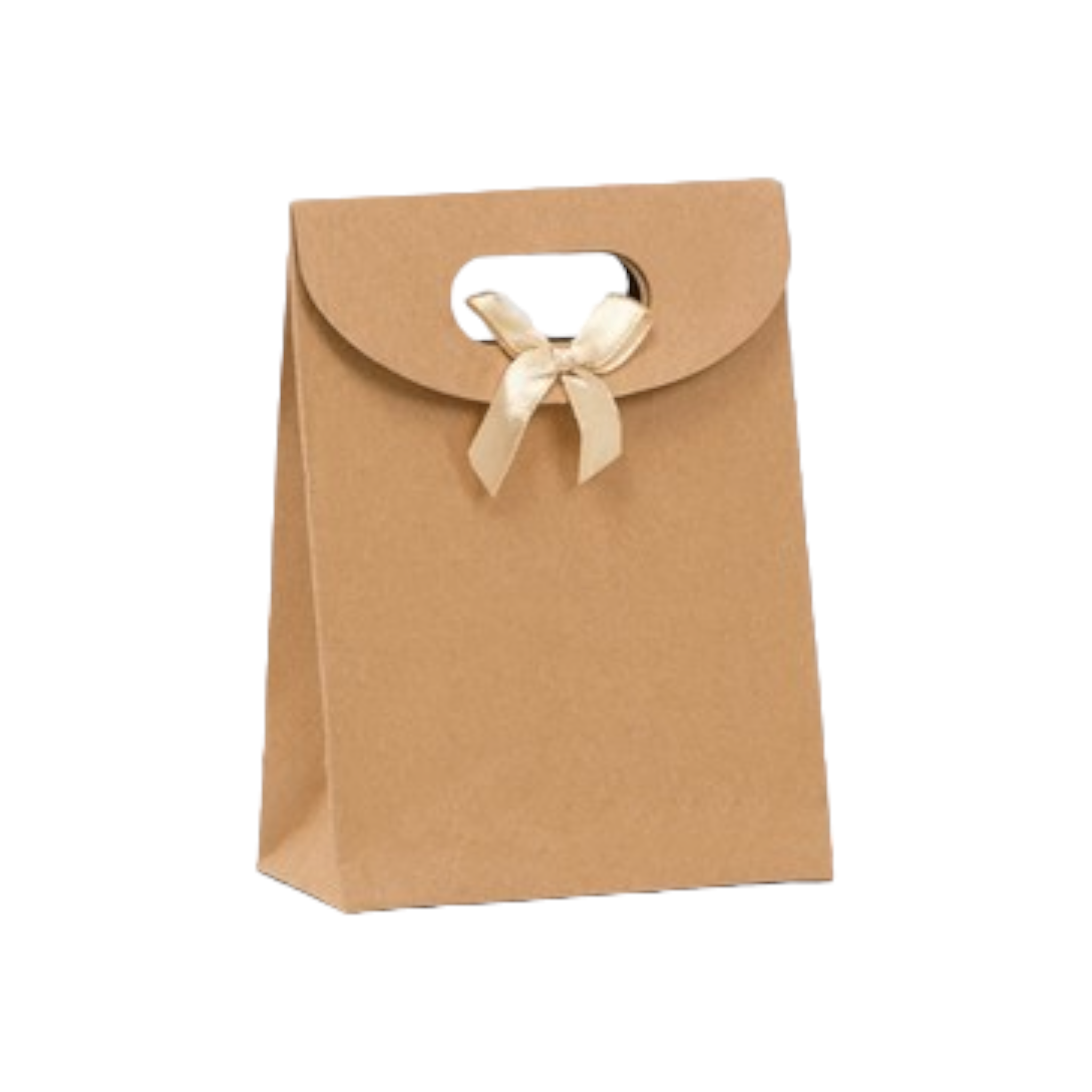 Kraft Paper Gift Bag Die Cut Handle with Bow Ribbon