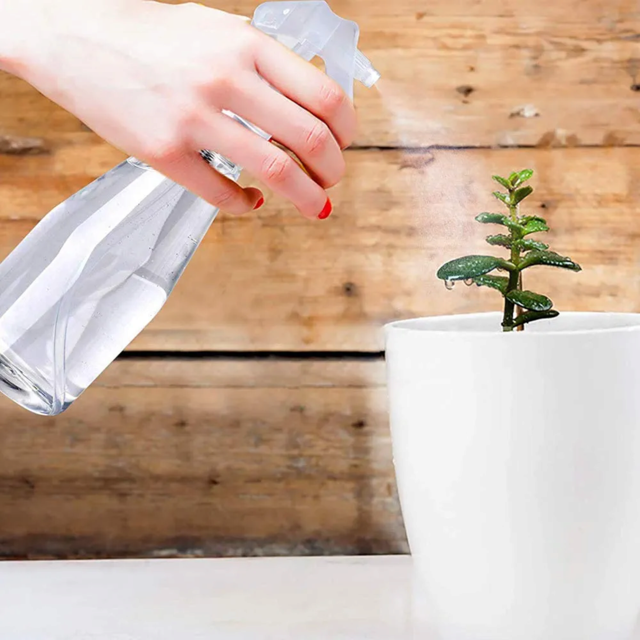 200ml PET Plastic Trigger Spray Bottle